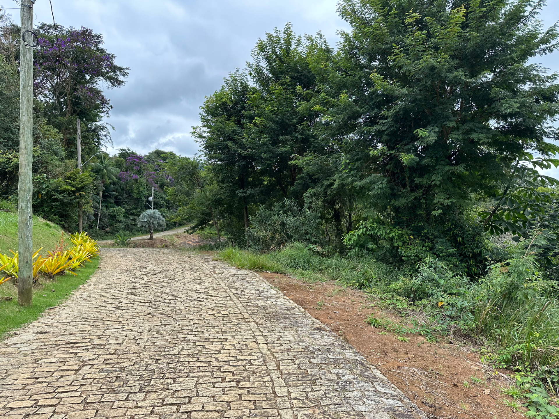 Novo Horizonte: Terreno de 1.120 m² para projeto., foto 6