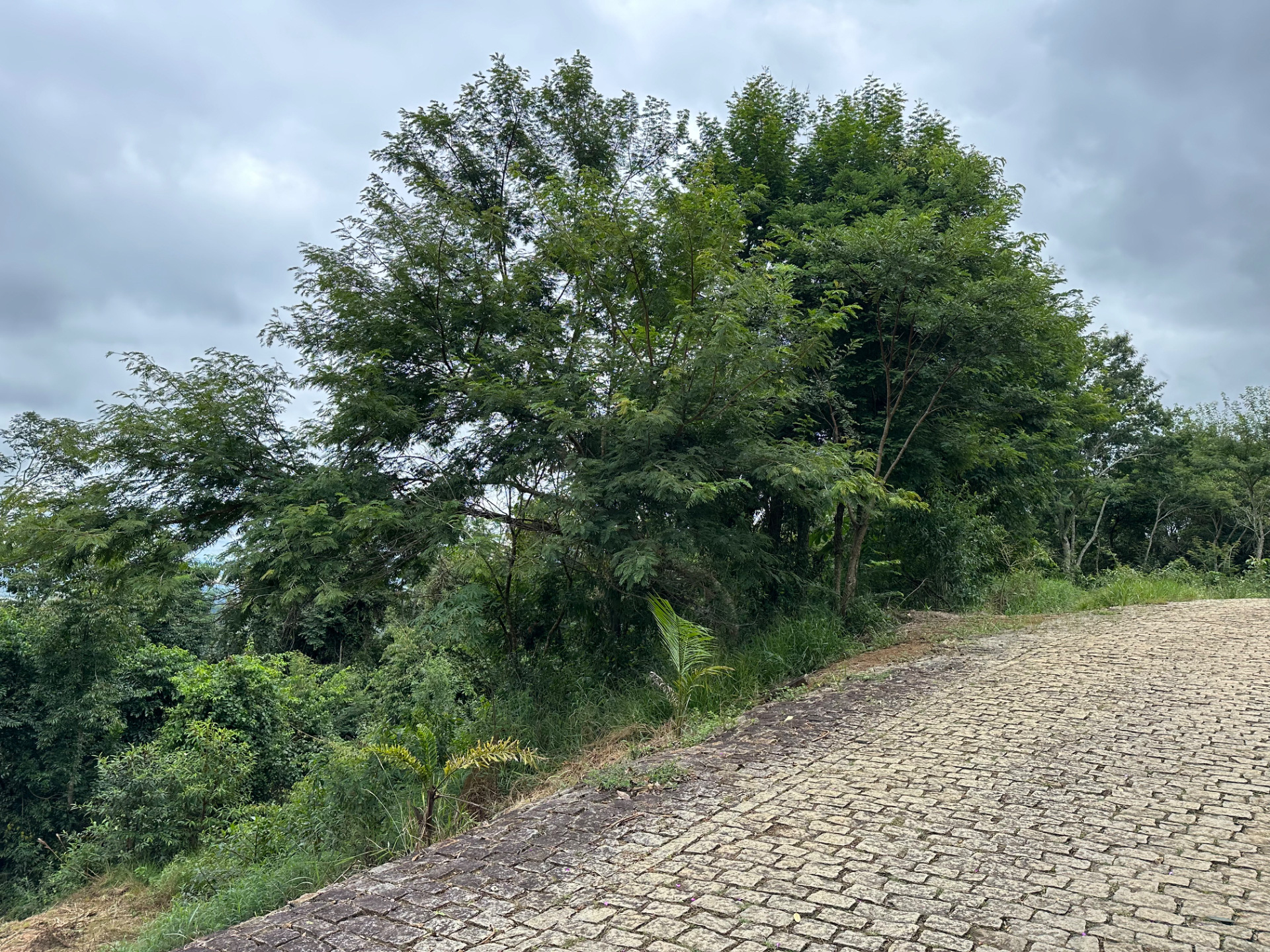 Novo Horizonte: Terreno de 1.120 m² para projeto., foto 3