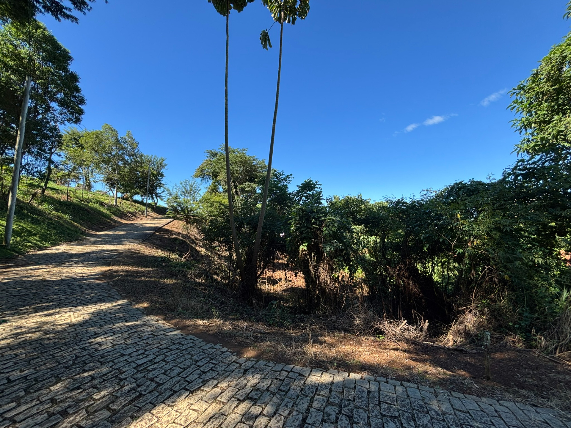 Terreno ecológico em condomínio, 814 m²., foto 4