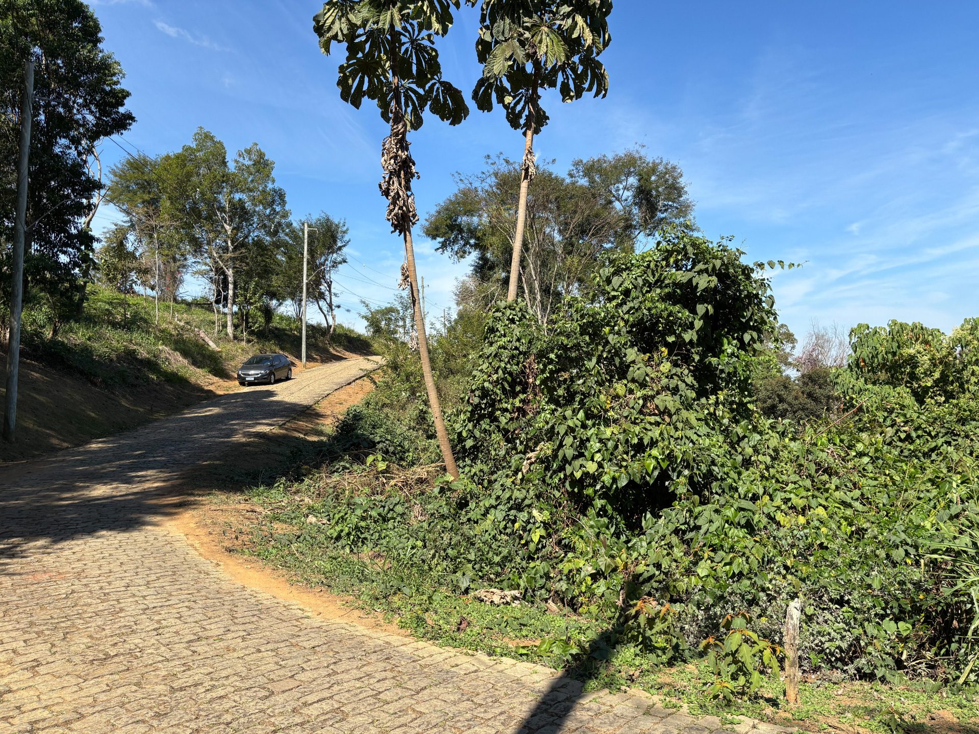 Terreno ecológico em condomínio, 814 m²., foto 7