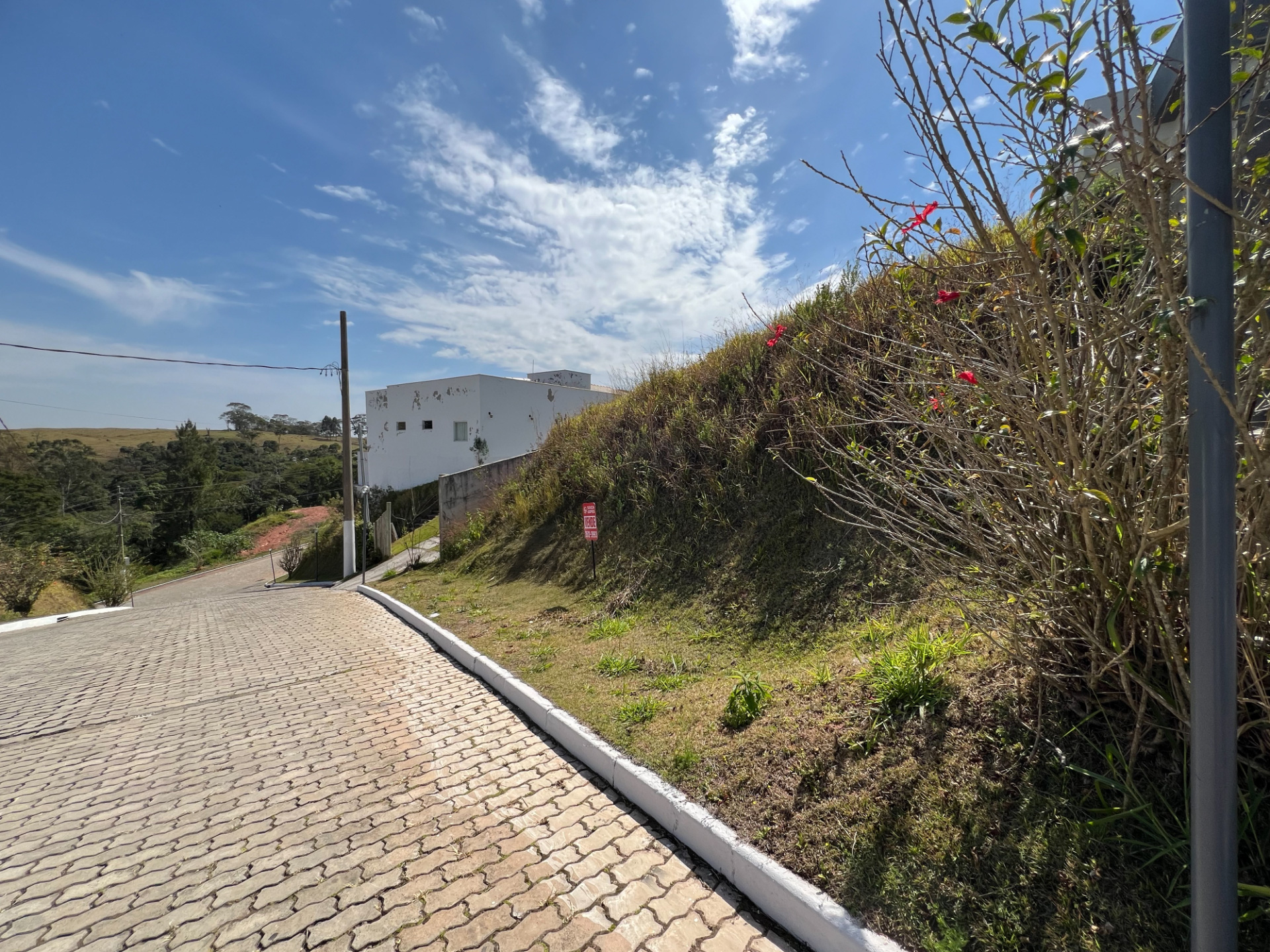 Lote no Bosque: 557m² e muita área verde, foto 5