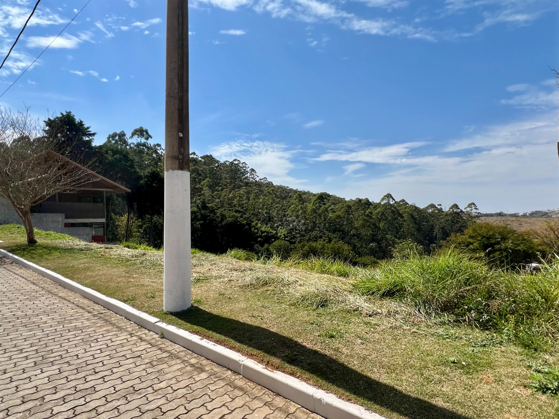 Bosque do Imperador: 544m² com vista livre, foto 5