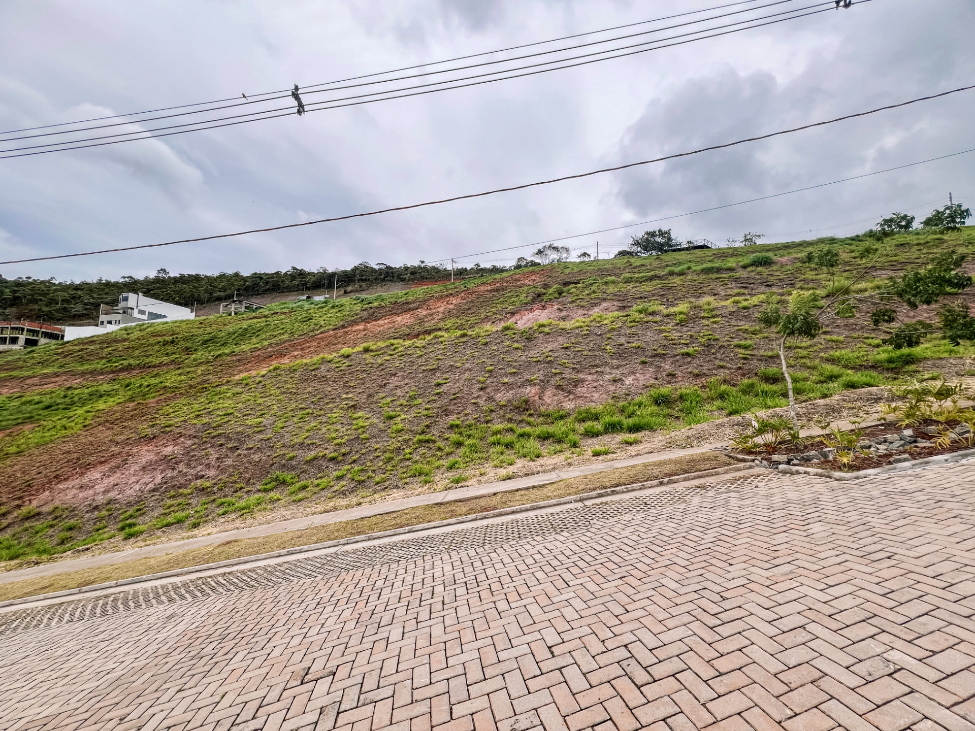 Vina Del Mar: Terreno em aclive, 303m²., foto 1