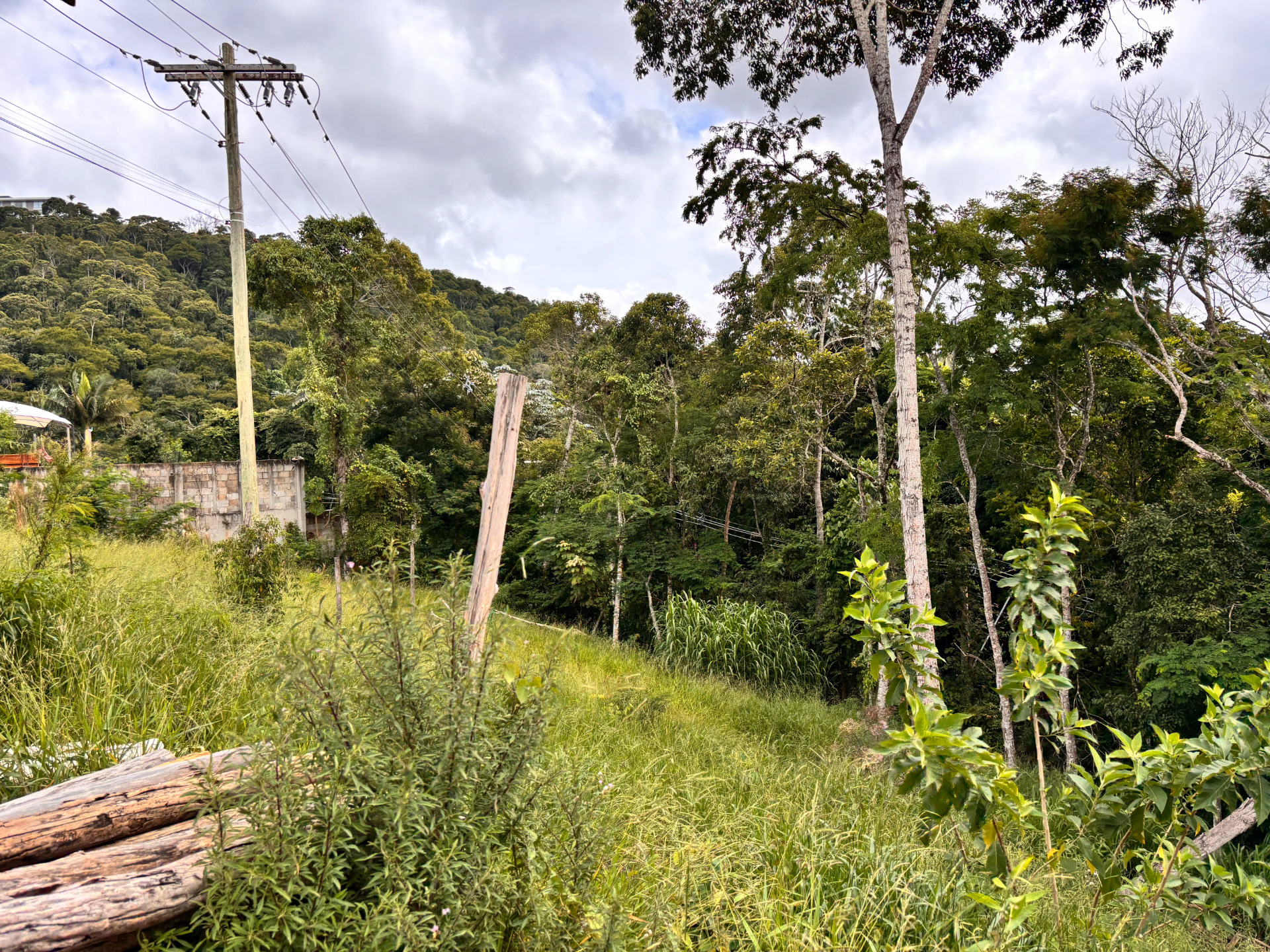 Terreno em fim de quadra no Salvaterra. 541m²., foto 2