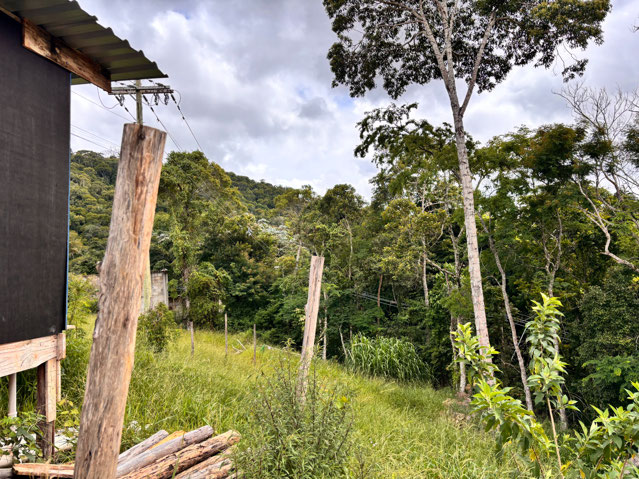 Terreno em fim de quadra no Salvaterra. 541m².