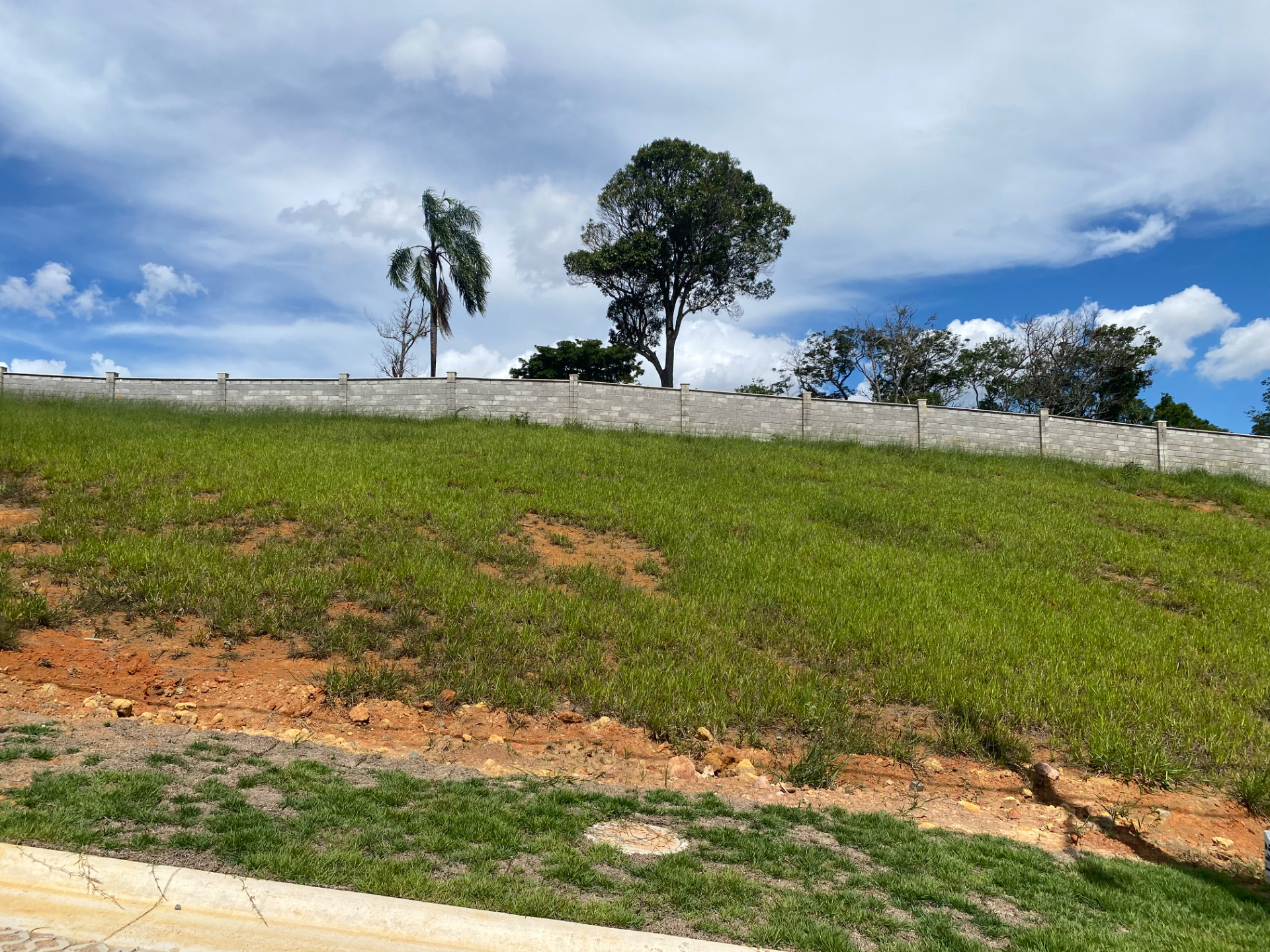 Estrela do Bosque, ponto mais alto, foto 1