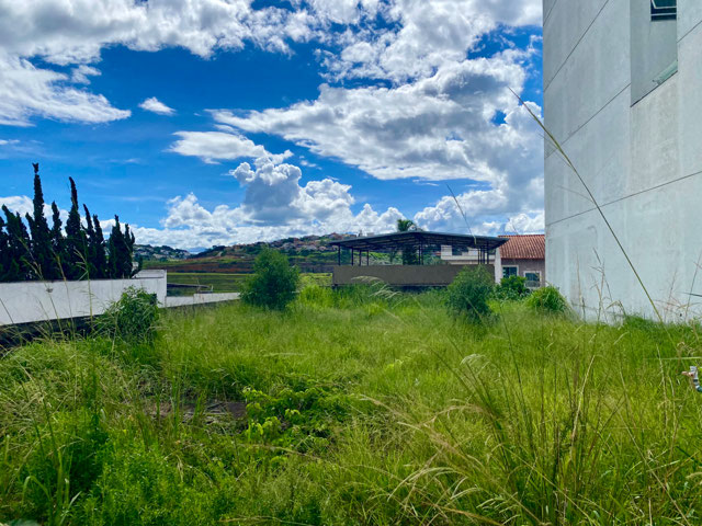 Foto cadastro cód. 18962