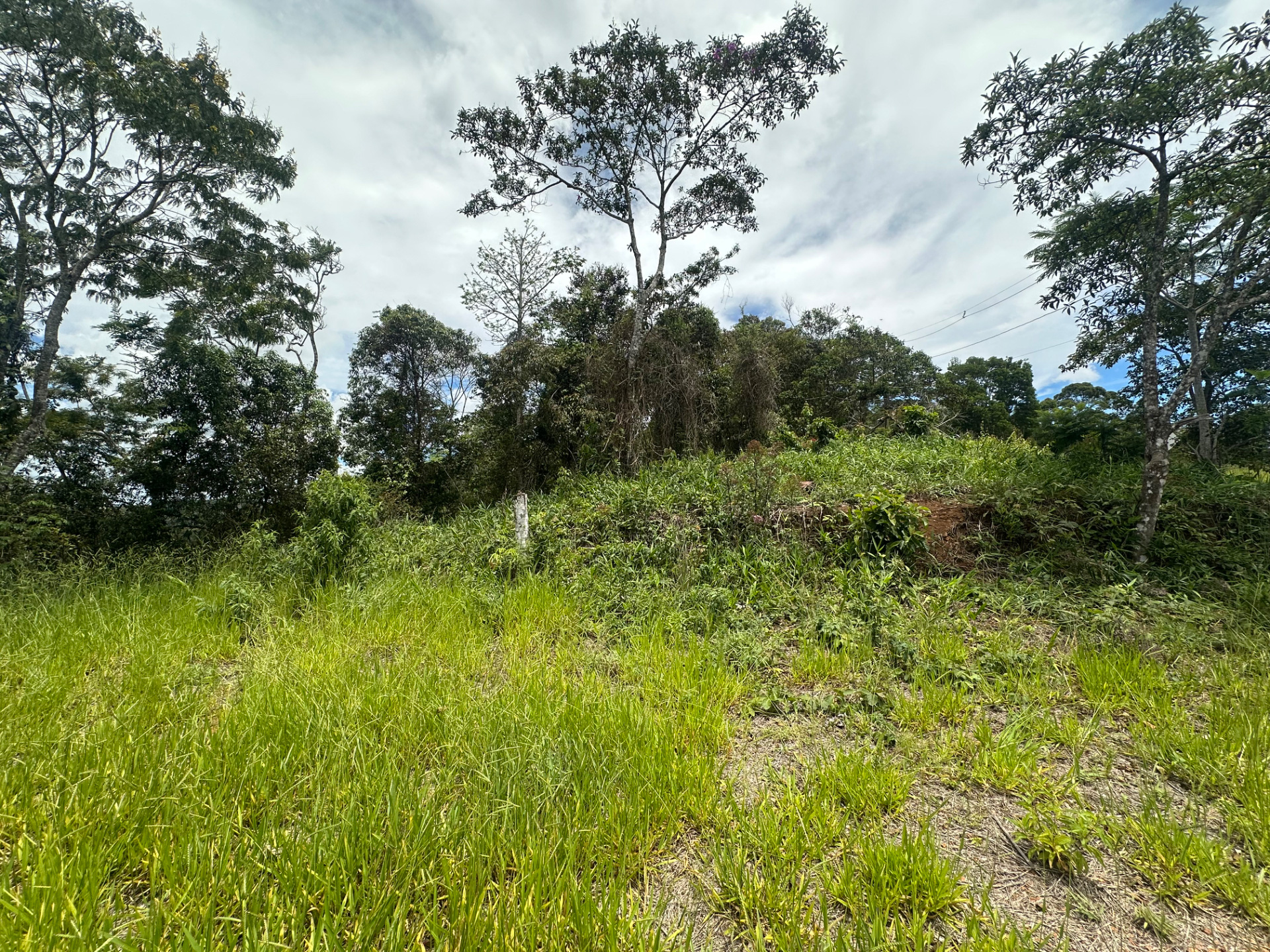 Novo Horizonte: Terreno de 1.645 m² na Estrada Real., foto 7