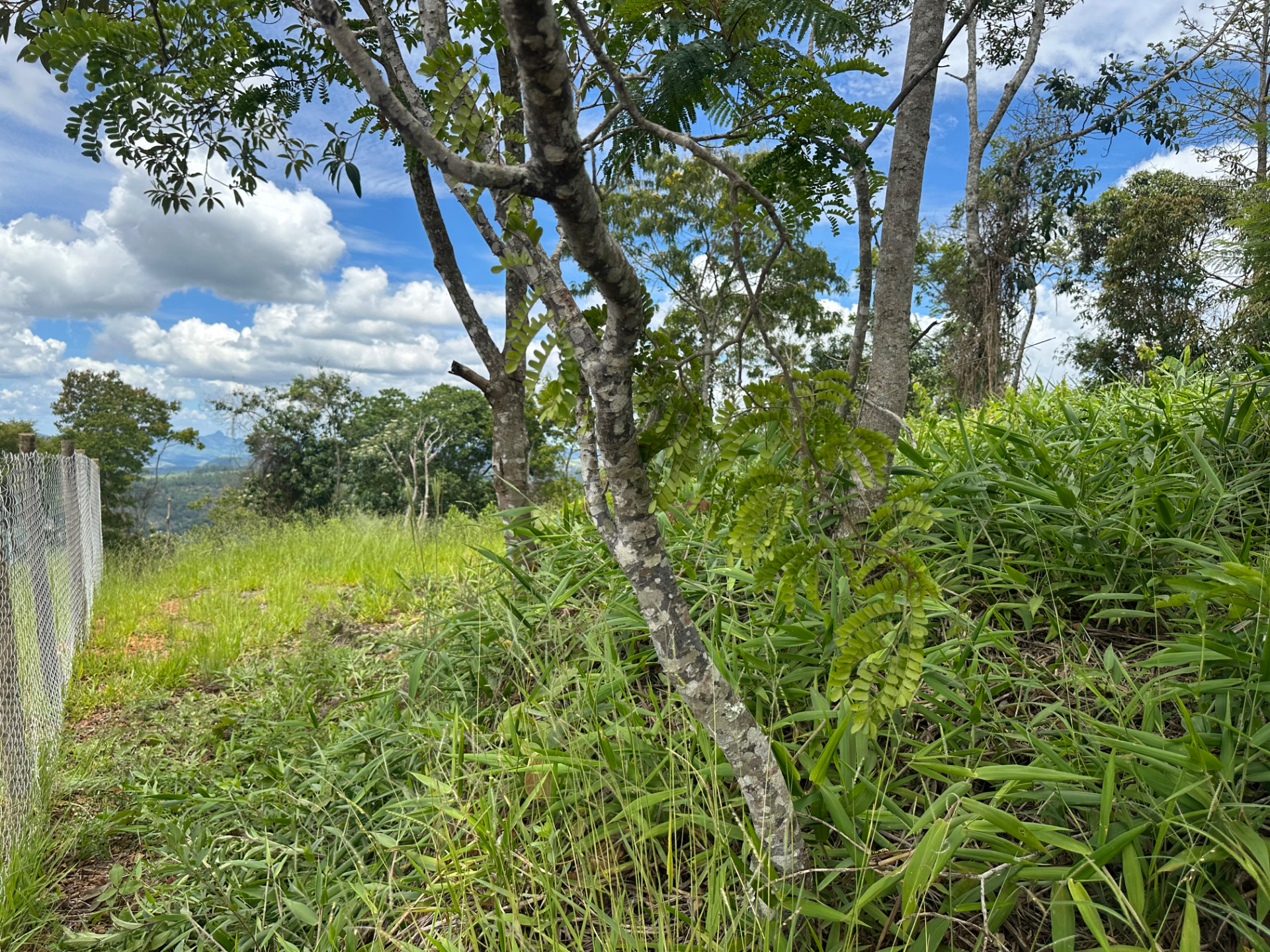 Novo Horizonte: Terreno de 1.645 m² na Estrada Real., foto 10