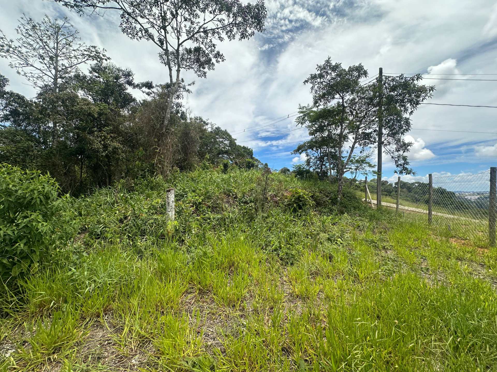 Novo Horizonte: Terreno de 1.645 m² na Estrada Real., foto 4