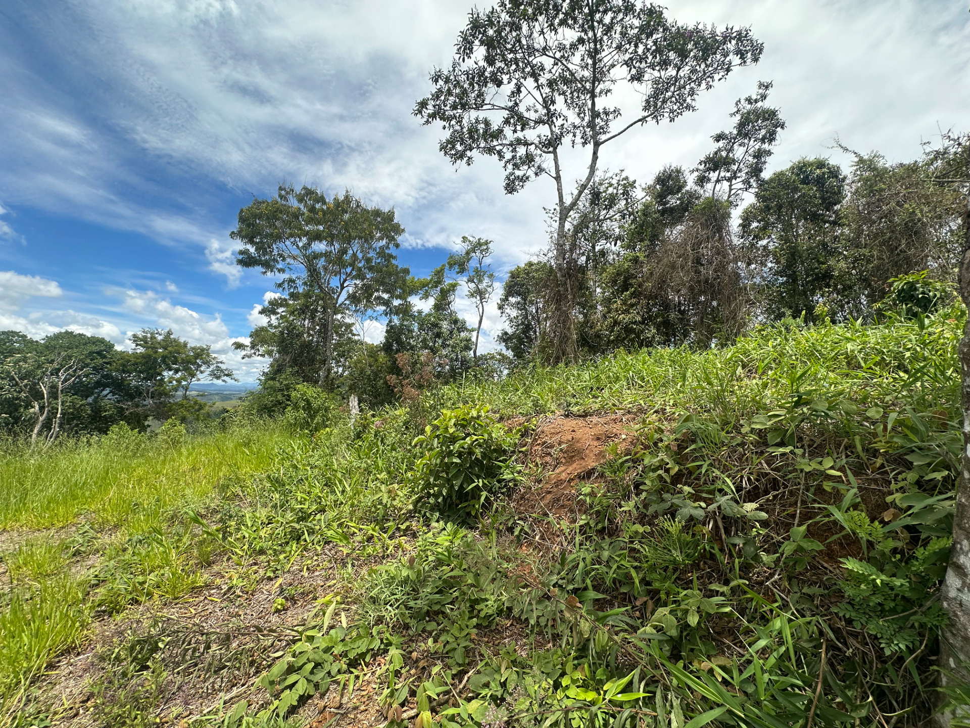 Novo Horizonte: Terreno de 1.645 m² na Estrada Real., foto 8