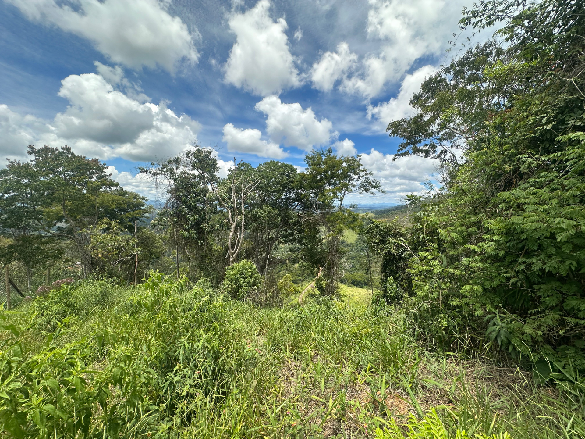 Novo Horizonte: Terreno de 1.645 m² na Estrada Real., foto 2