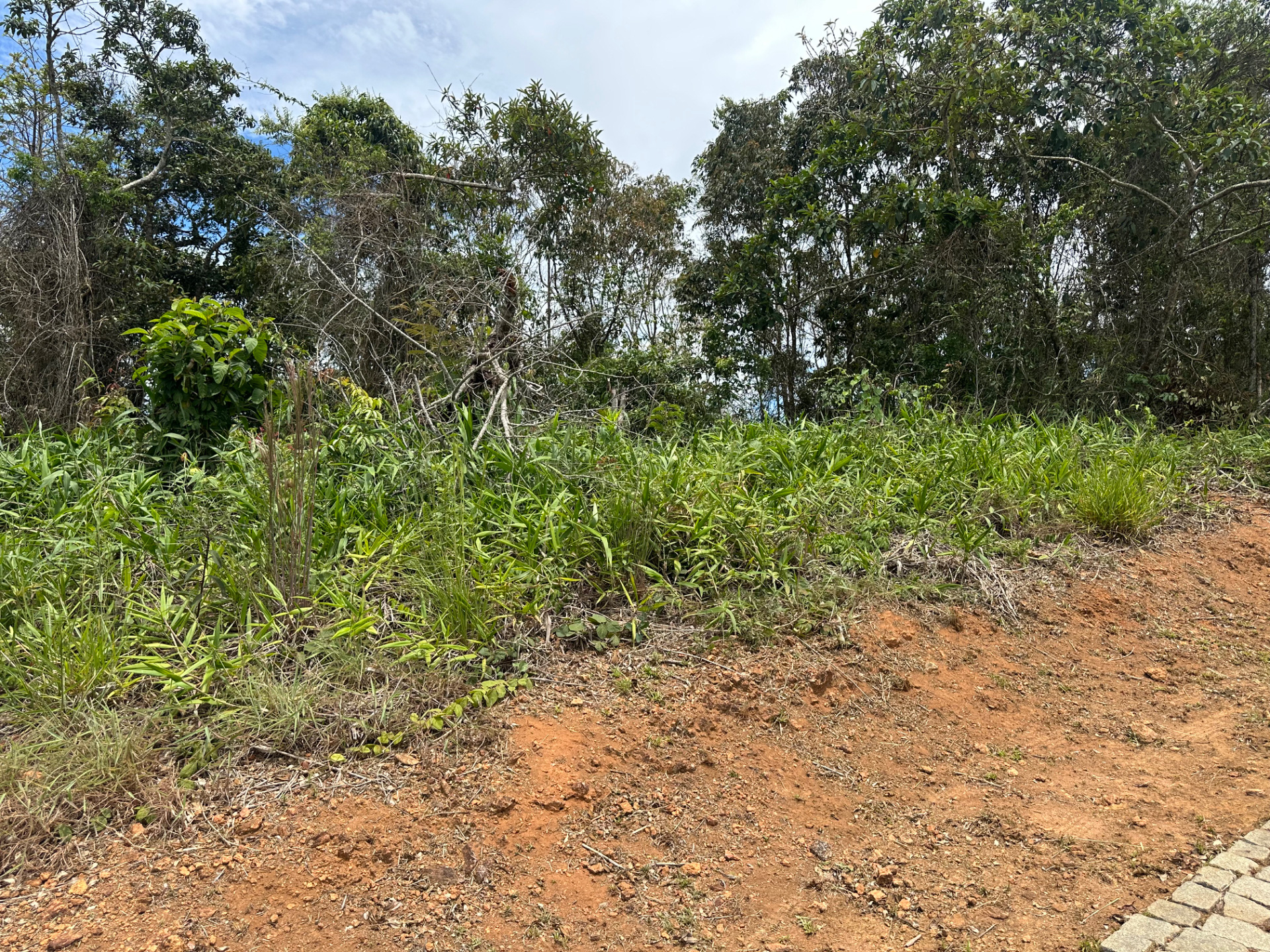 Novo Horizonte: Terreno de 1.645 m² na Estrada Real., foto 6