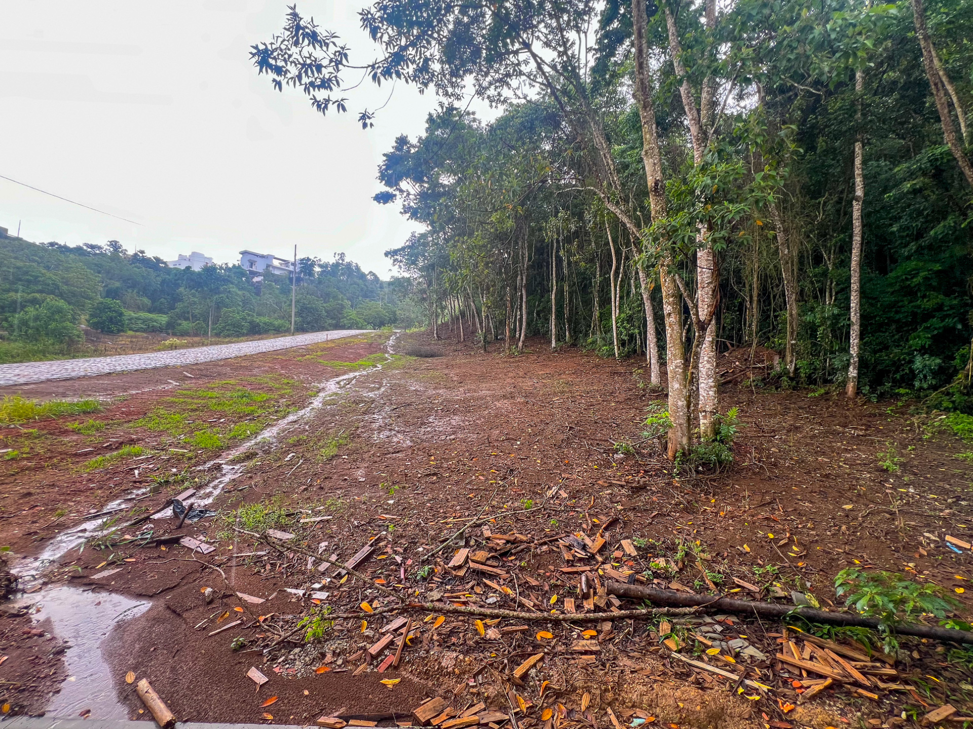 Terreno plano no Novo Horizonte com área de preservação, foto 2