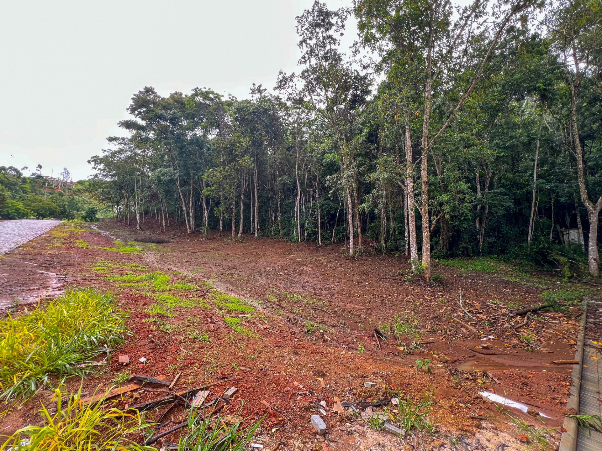 Terreno plano no Novo Horizonte com área de preservação, foto 5