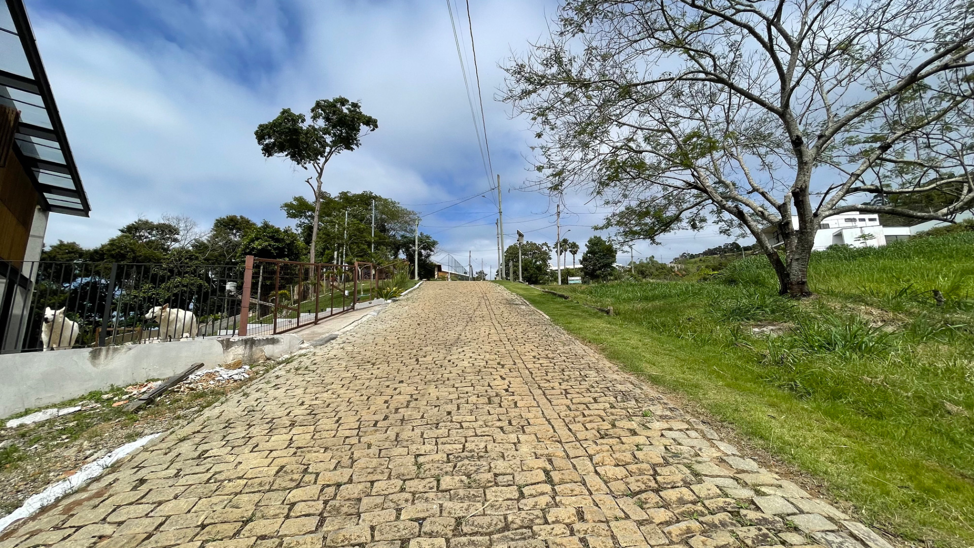 Terreno em condomínio. Vista livre, 1547m², foto 6