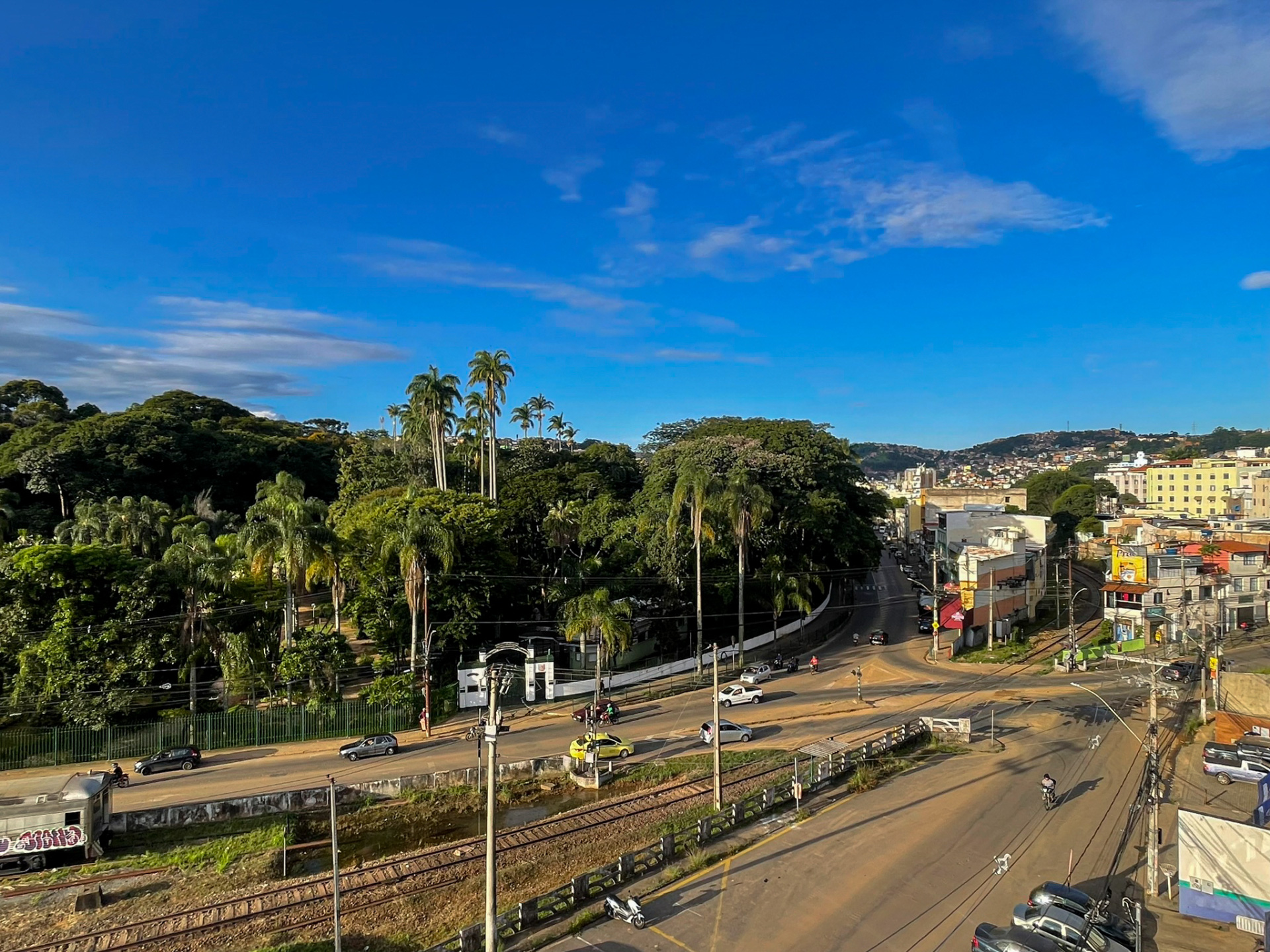 Cobertura no Democrata: vista para a mata do Museu, foto 14