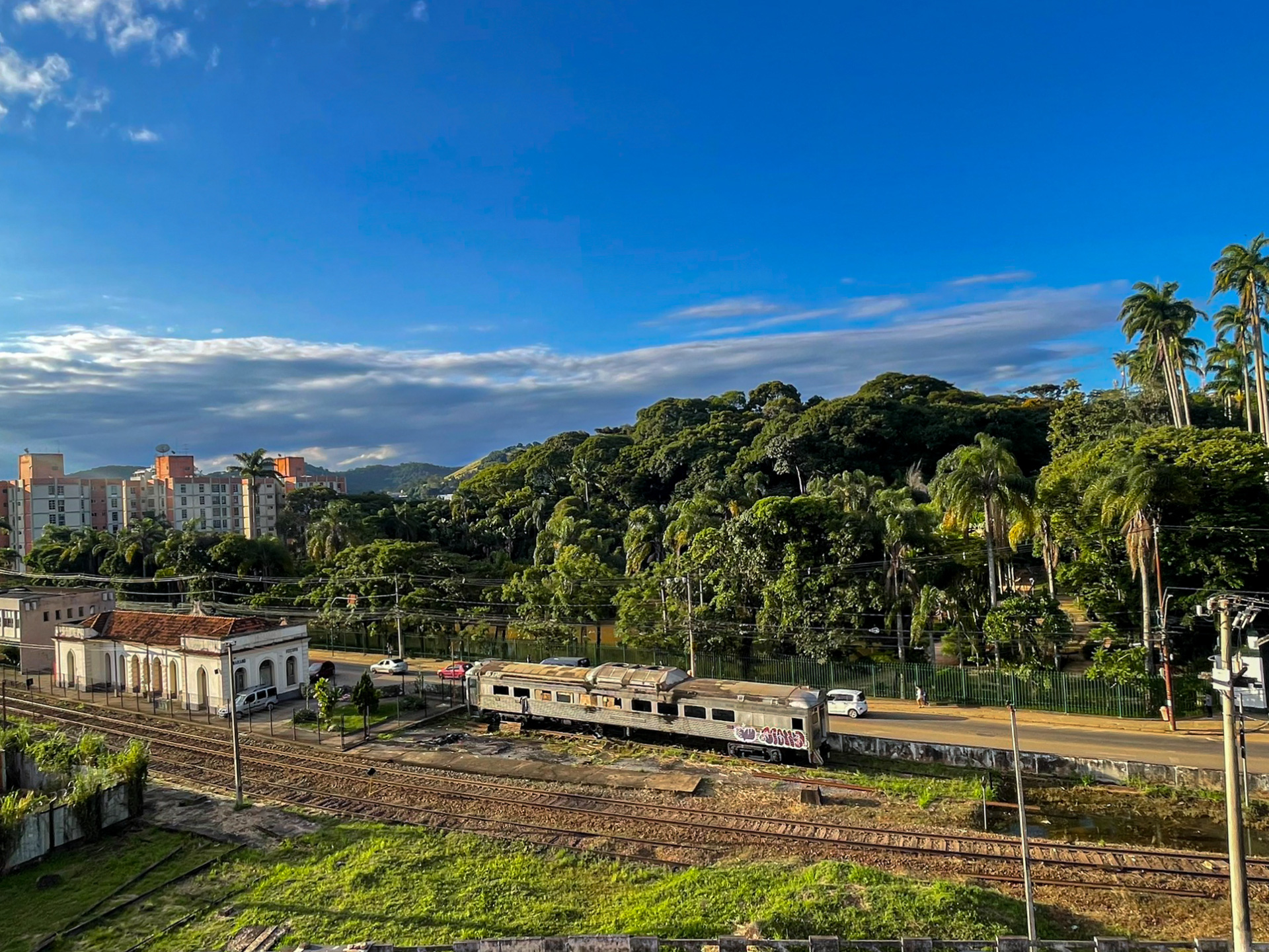 Cobertura no Democrata: vista para a mata do Museu, foto 3