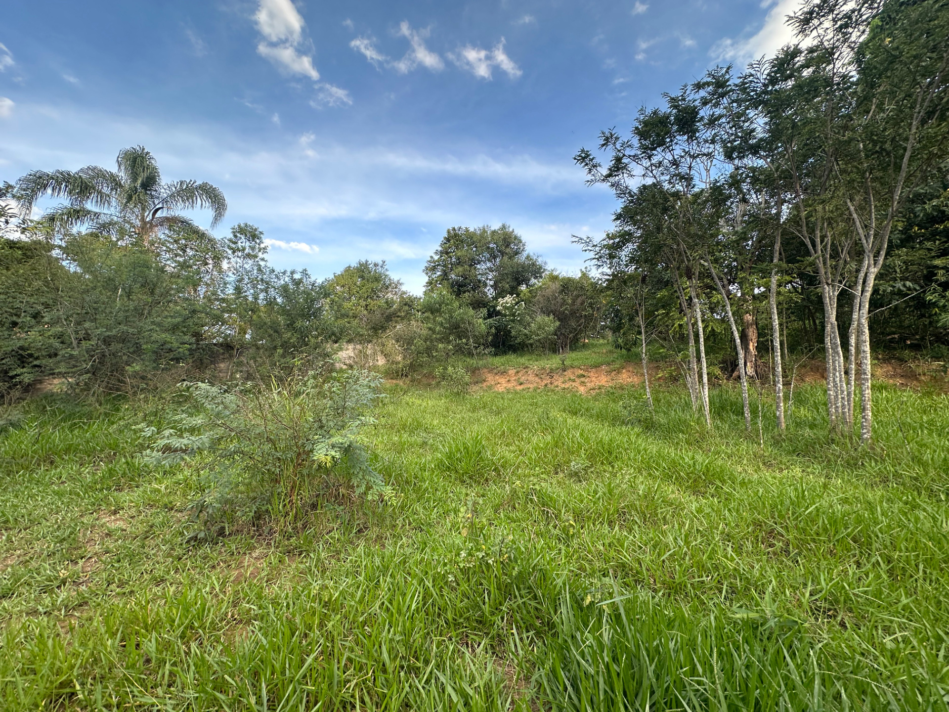 Bosque do Imperador. Terreno com vista aberta., foto 15