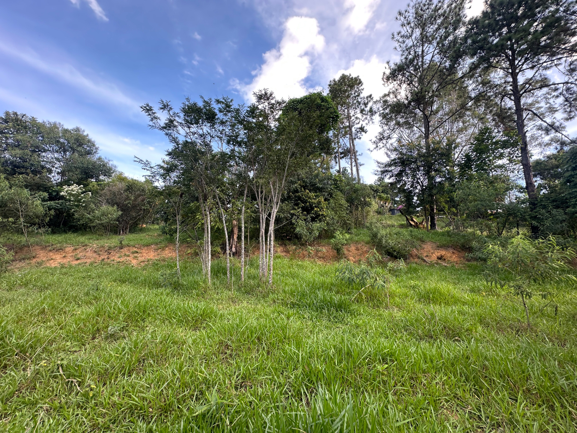 Bosque do Imperador. Terreno com vista aberta., foto 14