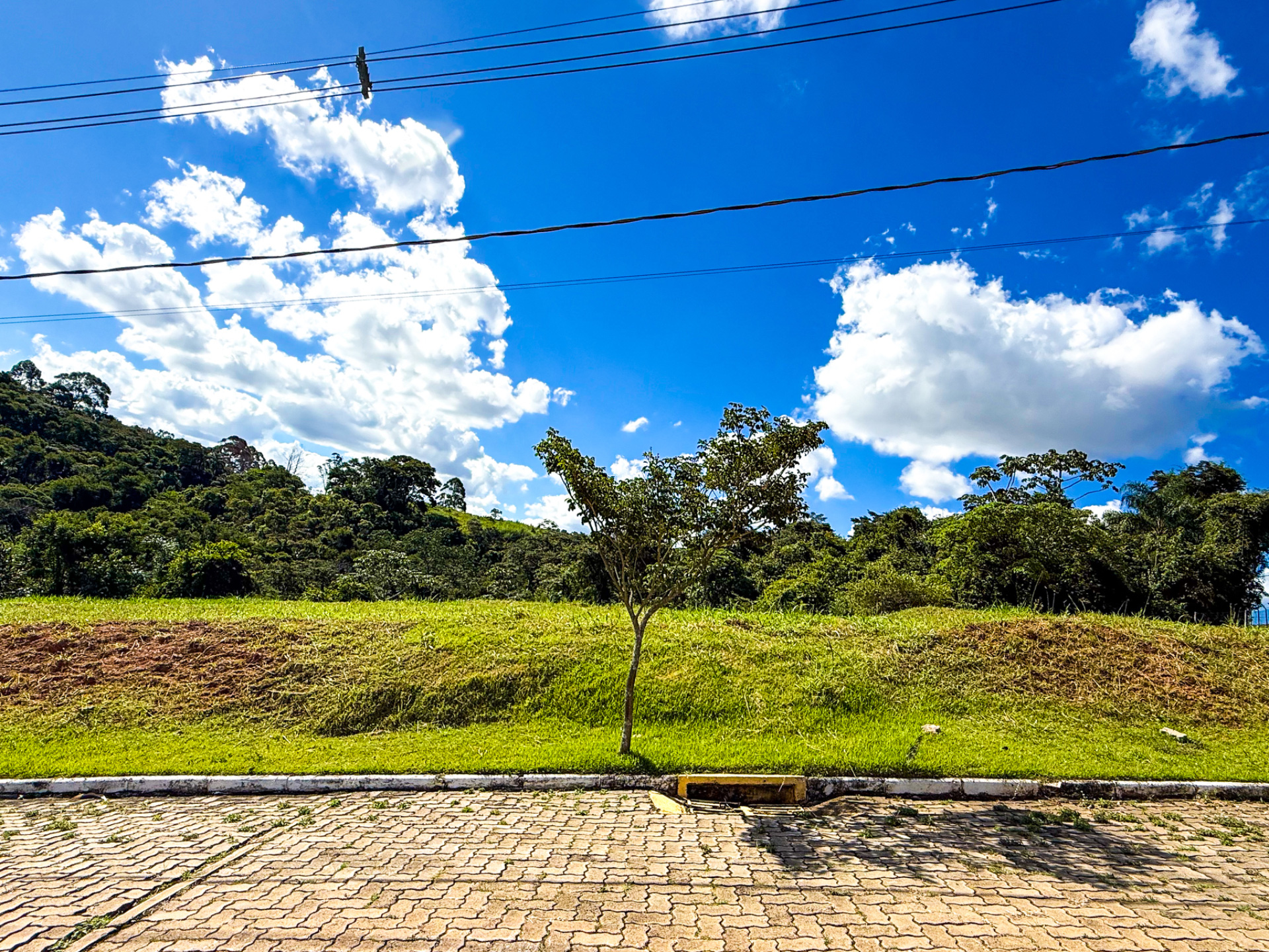 Terreno 481m² em condomínio. Vista livre., foto 2