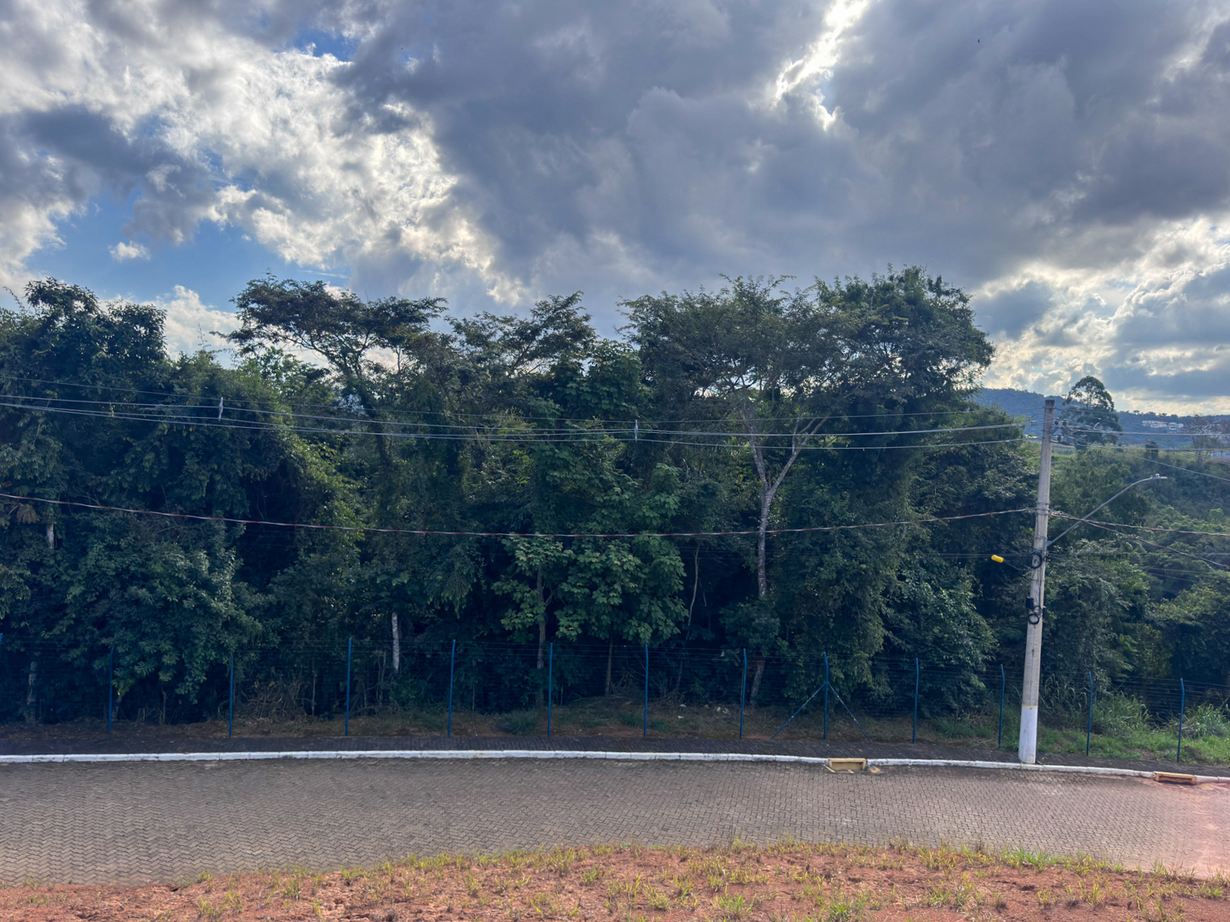 Terreno em Salvaterra. Vista para mata de preservação., foto 3