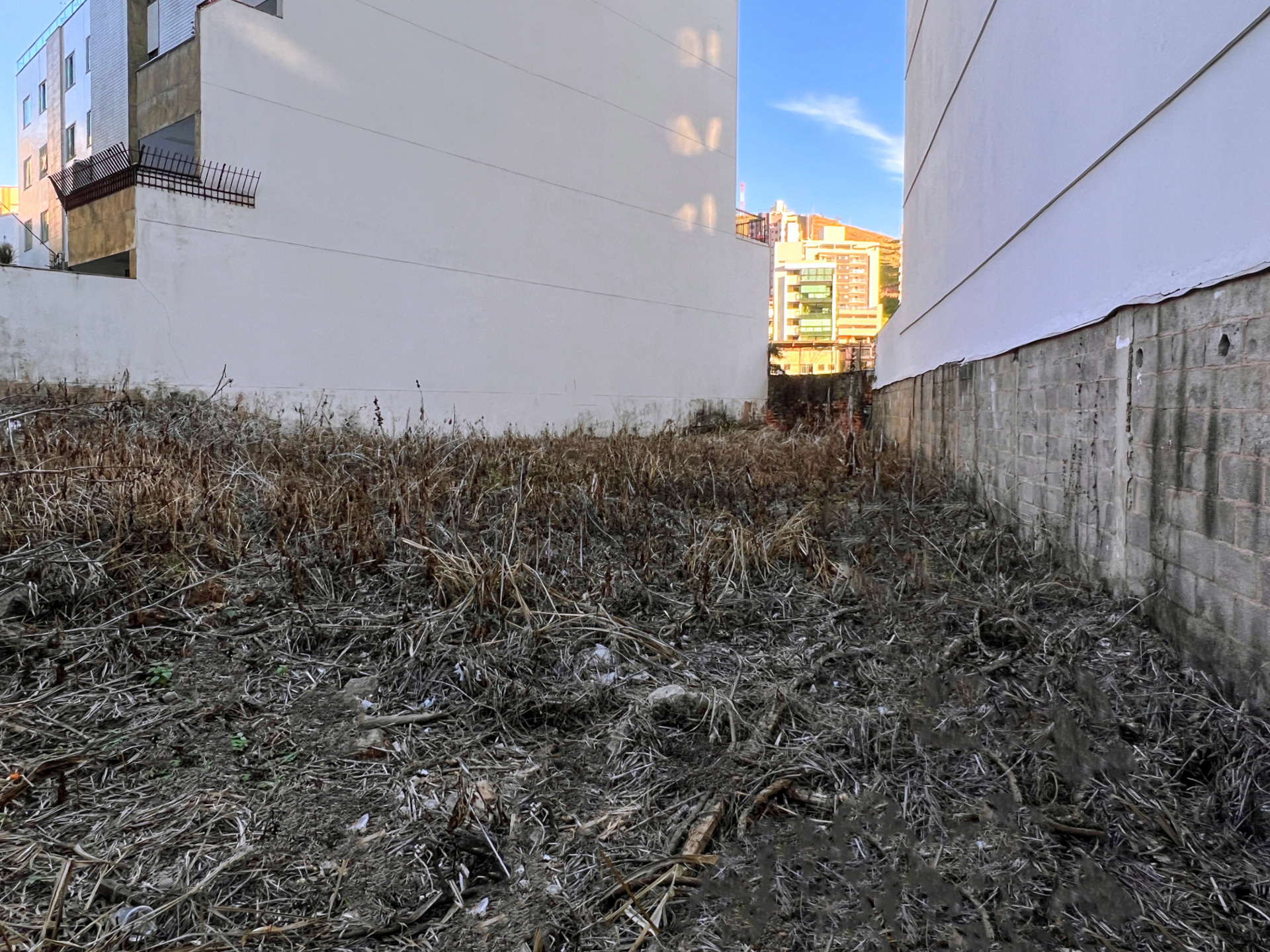 Terreno 373m² no Bom Pastor. Ótimo ponto., foto 2