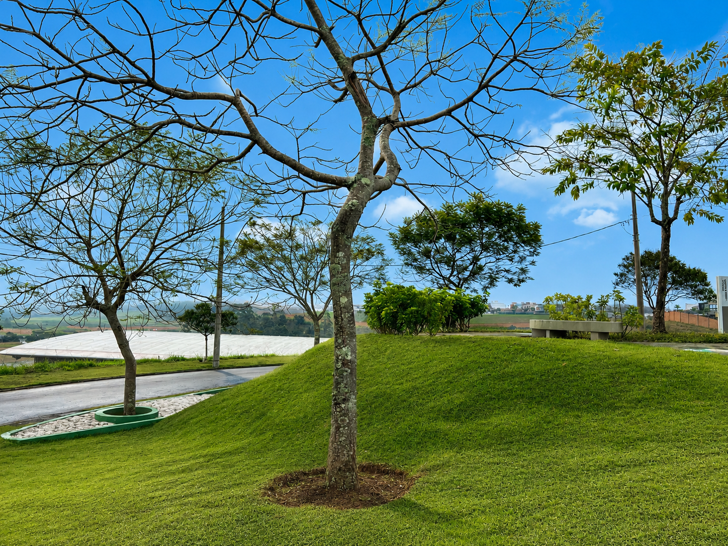 Terreno com 643 m². Vista permanente e privacidade., foto 6