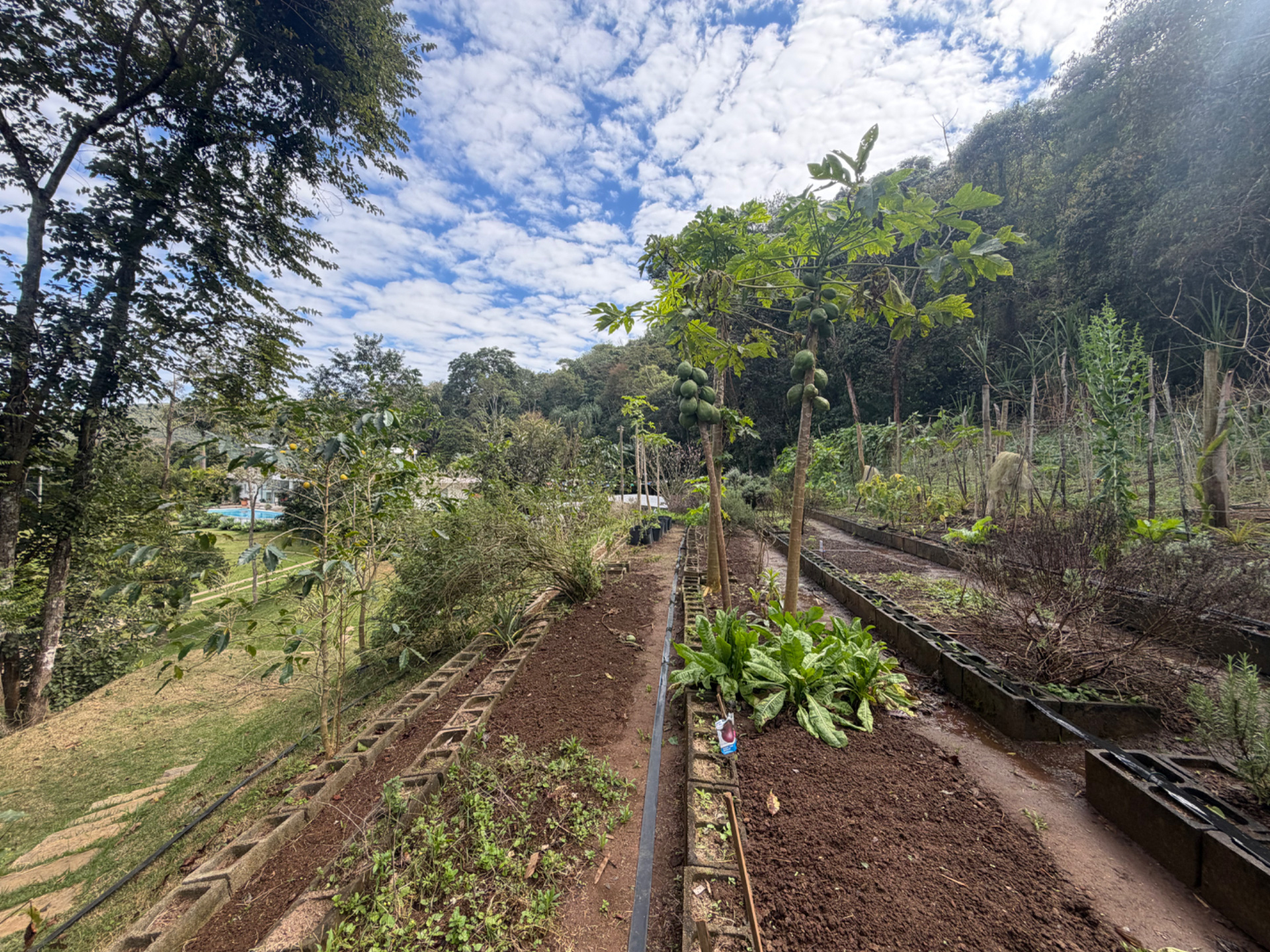 Novo Horizonte: Terreno com 926m² em condomínio arborizado, foto 8