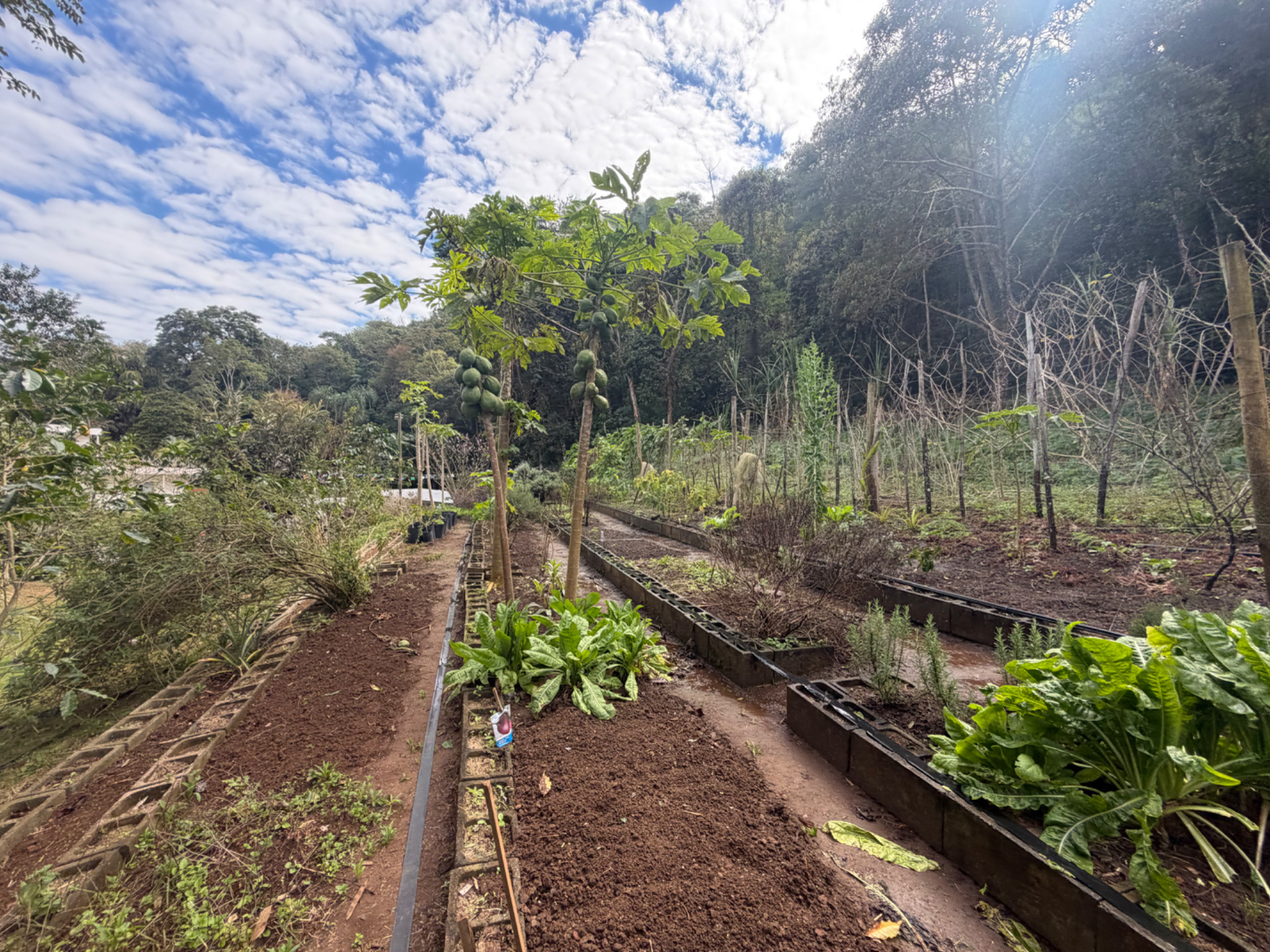 Novo Horizonte: Terreno com 926m² em condomínio arborizado, foto 7