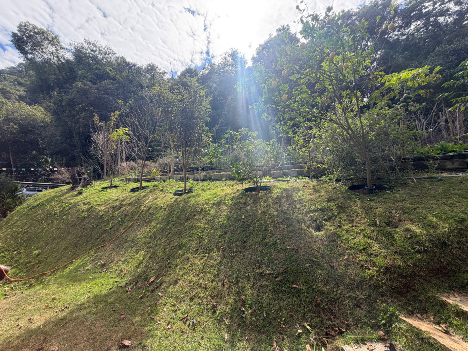 Novo Horizonte: Terreno com 926m² em condomínio arborizado, foto 5