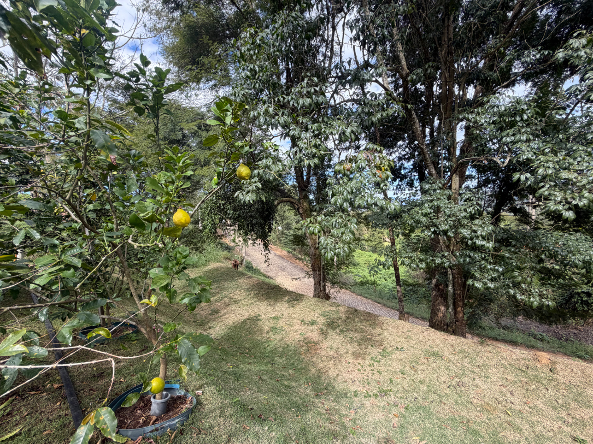 Novo Horizonte: Terreno com 926m² em condomínio arborizado, foto 9