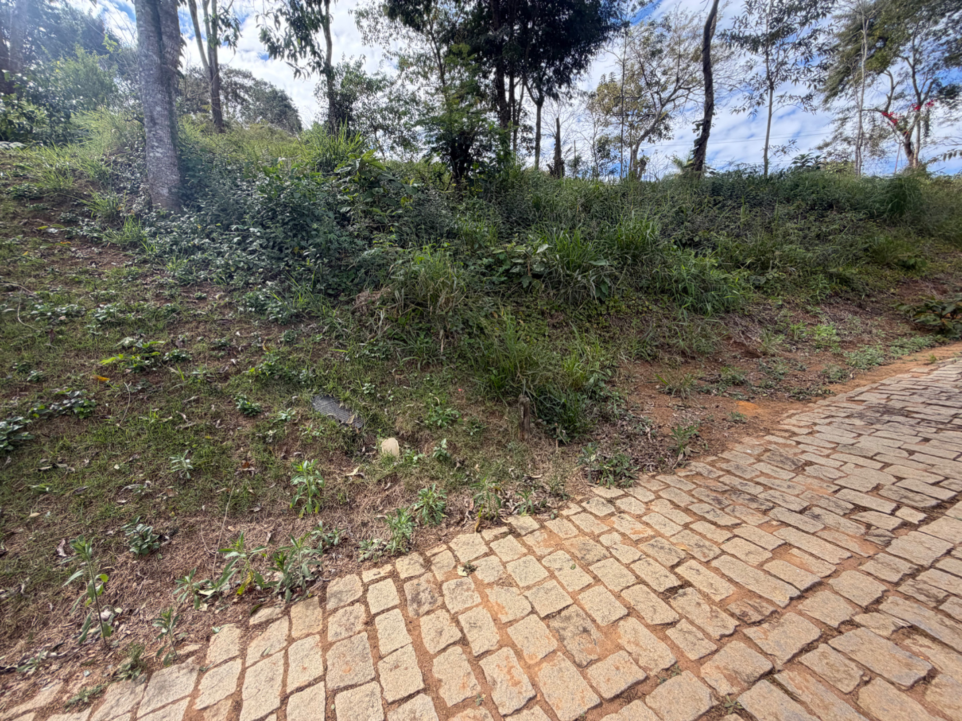 Novo Horizonte: Terreno com 926m² em condomínio arborizado, foto 3