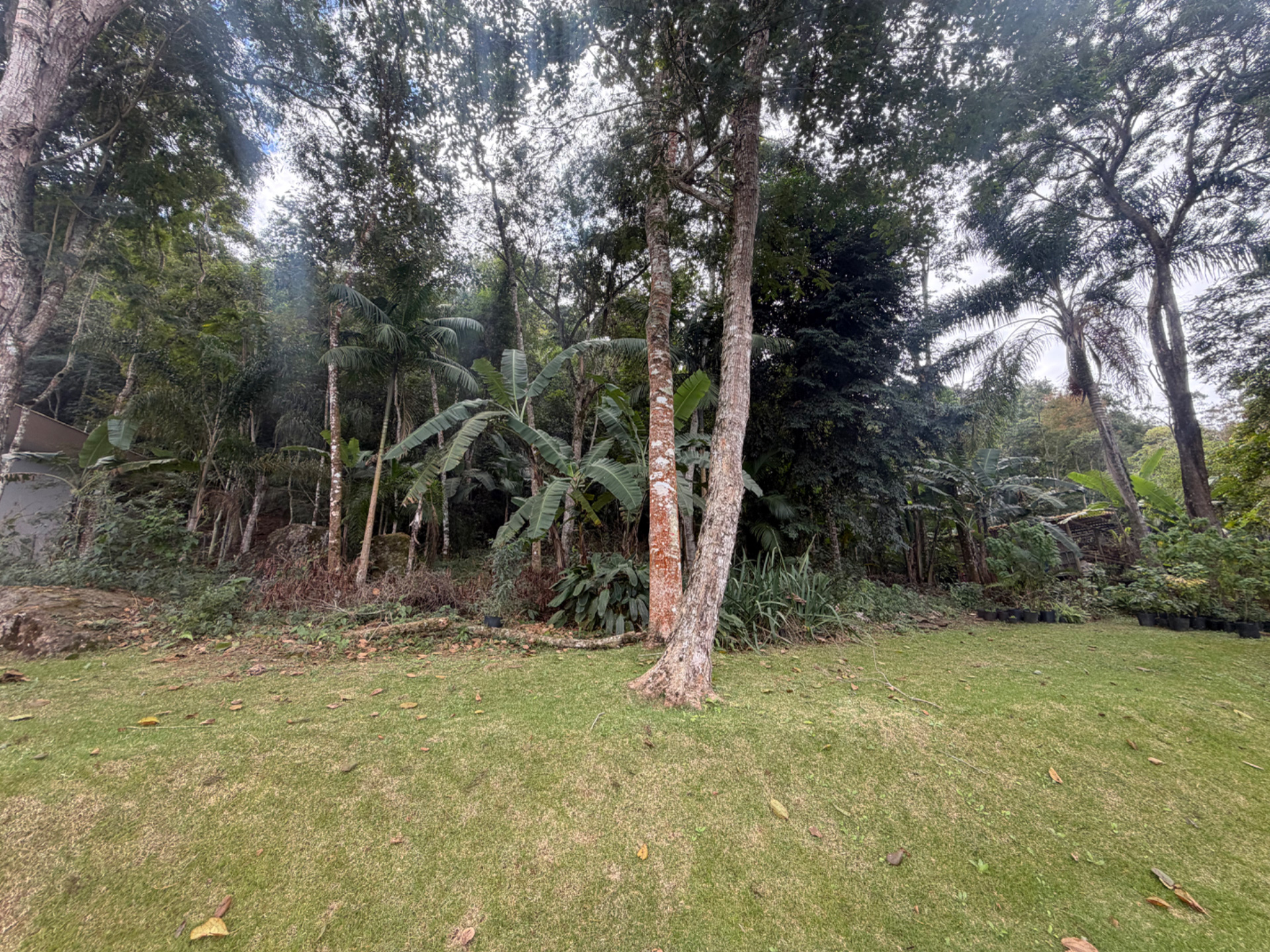 Terreno amplo, 1143m², no Novo Horizonte., foto 4