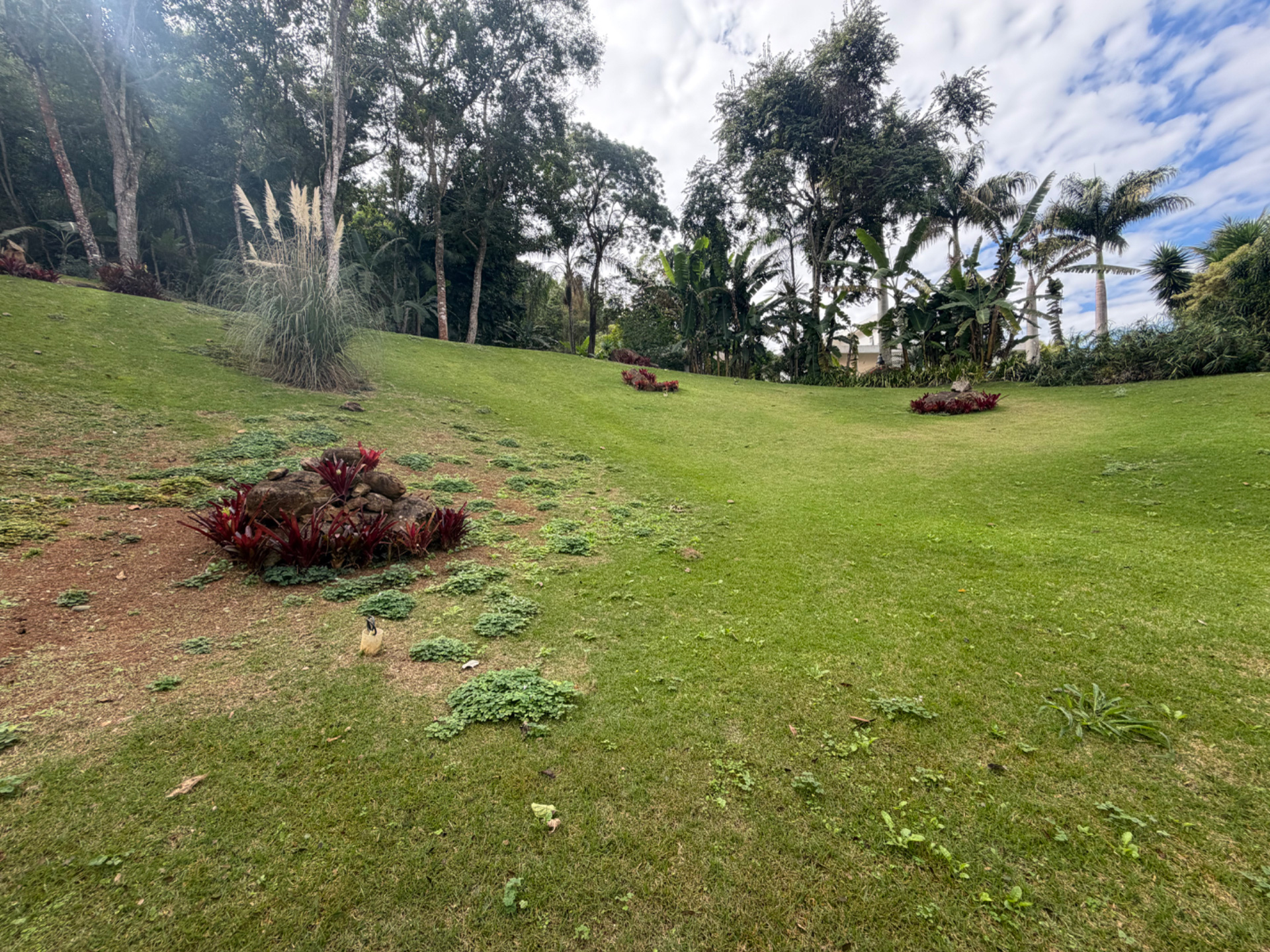 Terreno amplo, 1143m², no Novo Horizonte., foto 10