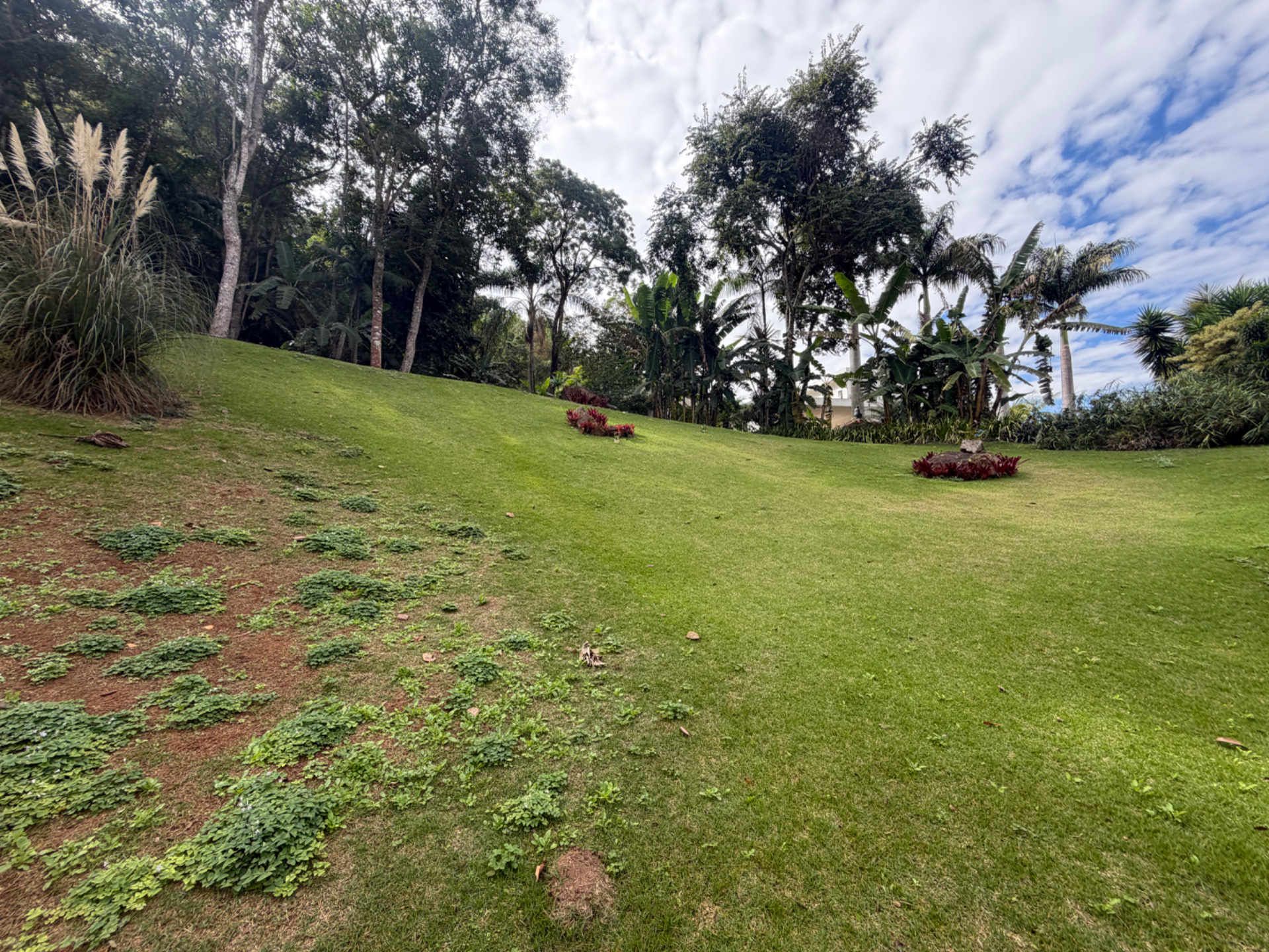 Terreno amplo, 1143m², no Novo Horizonte., foto 12