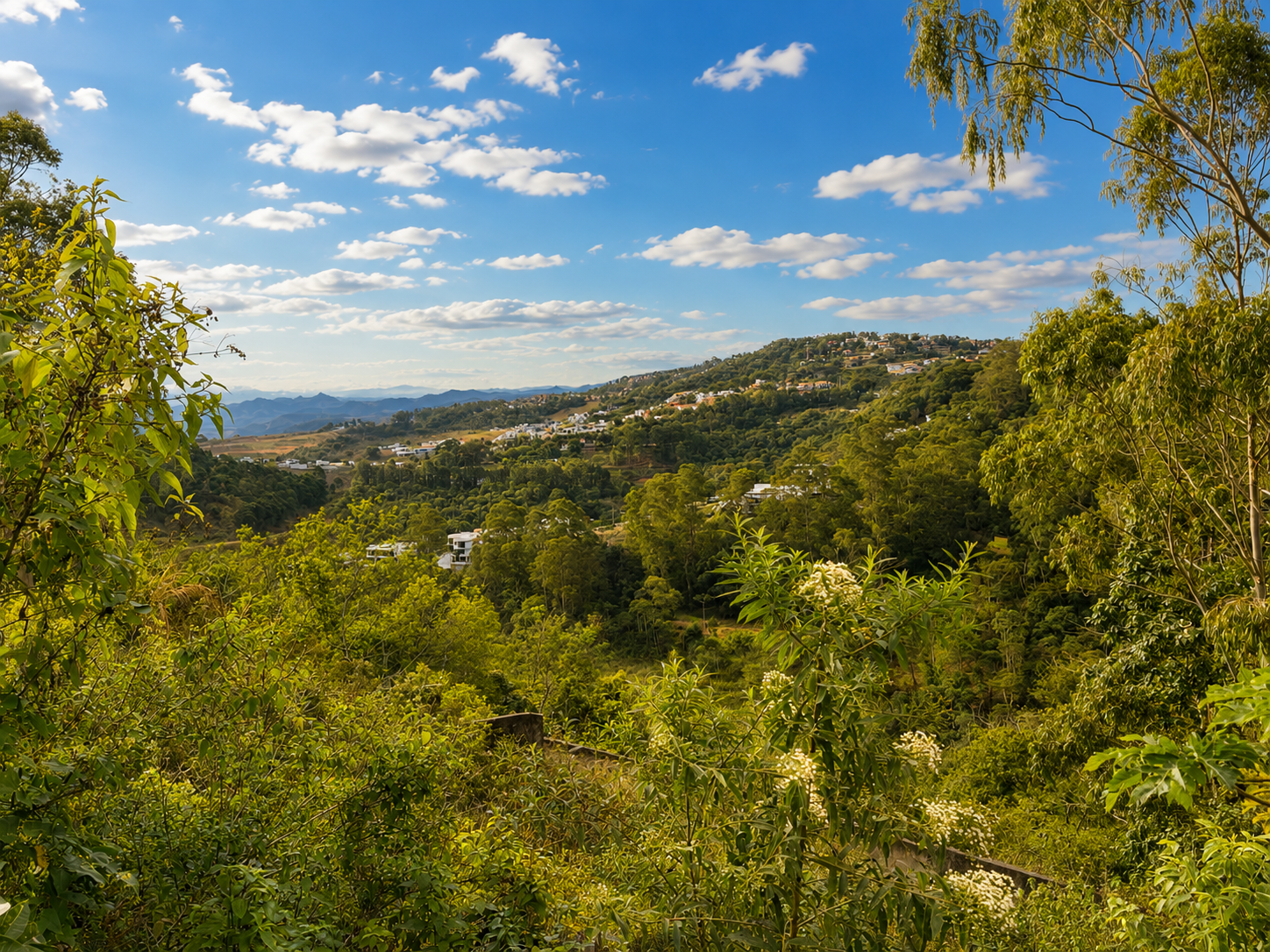 Parque Guadalajara. Vista definitiva., foto 1