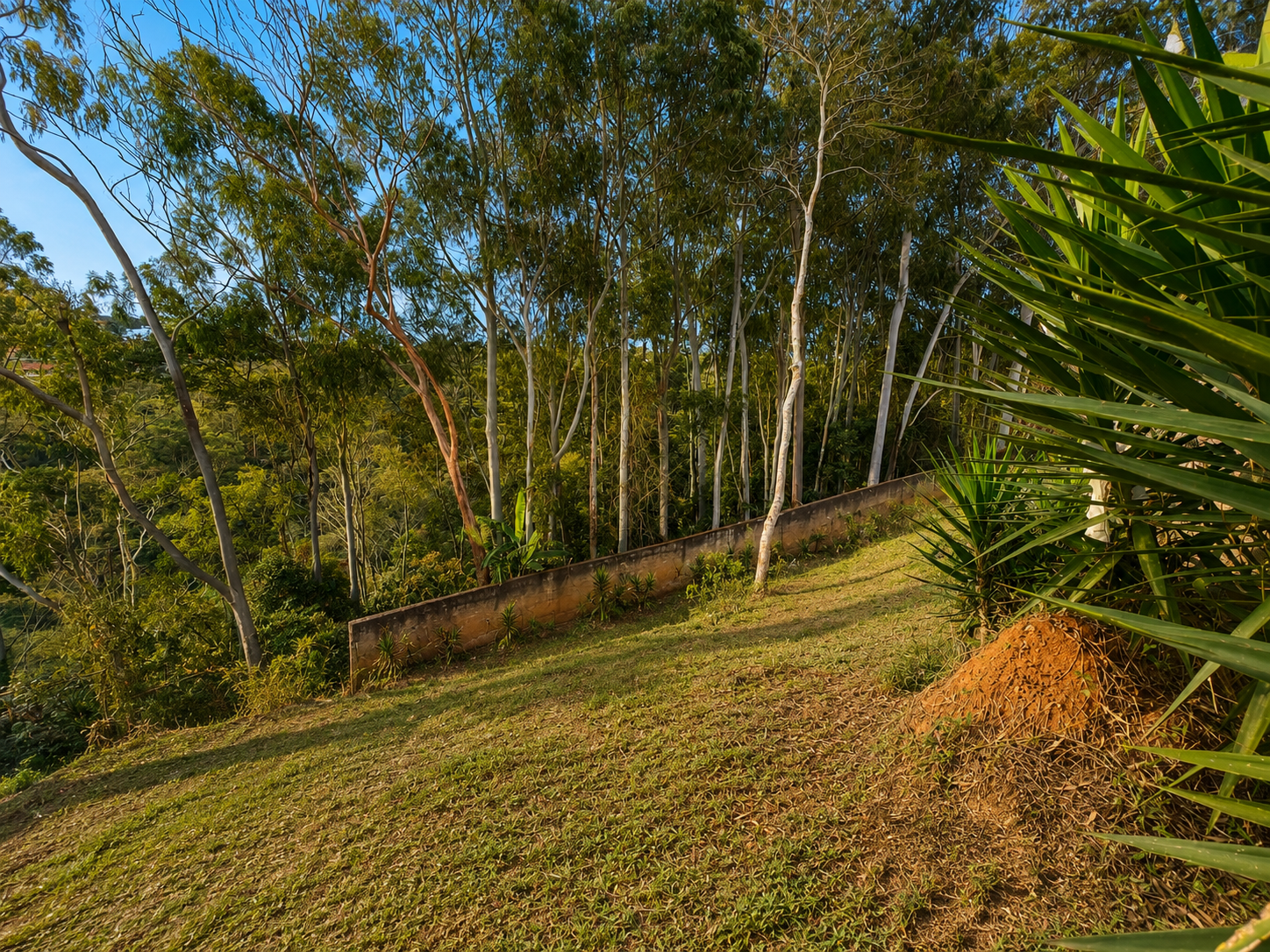 Parque Guadalajara. Vista definitiva., foto 6