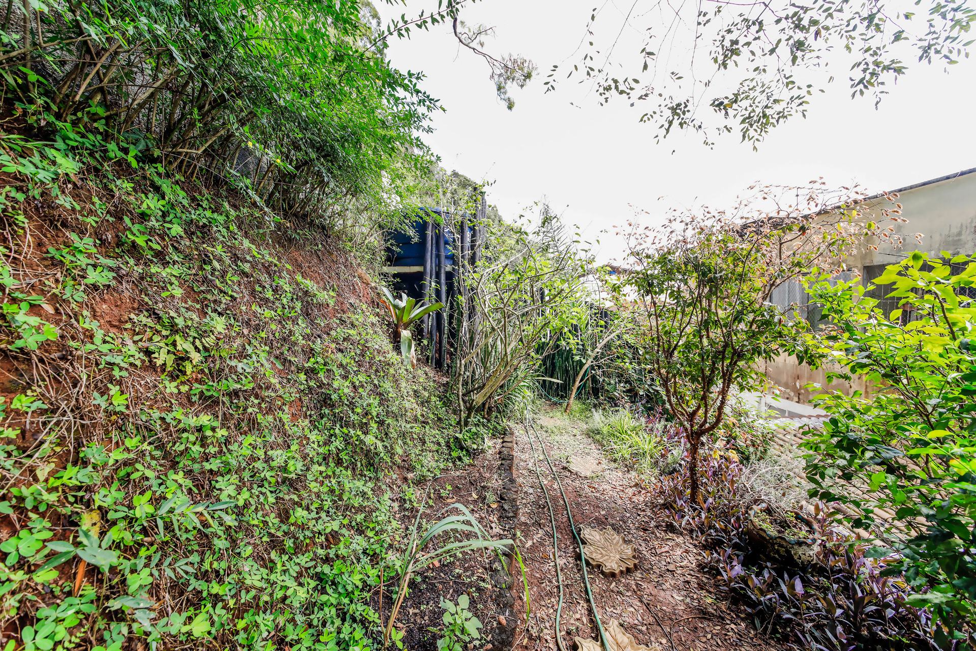 Santa Helena: 3 quartos, suíte, vaga, área externa privativa., foto 14
