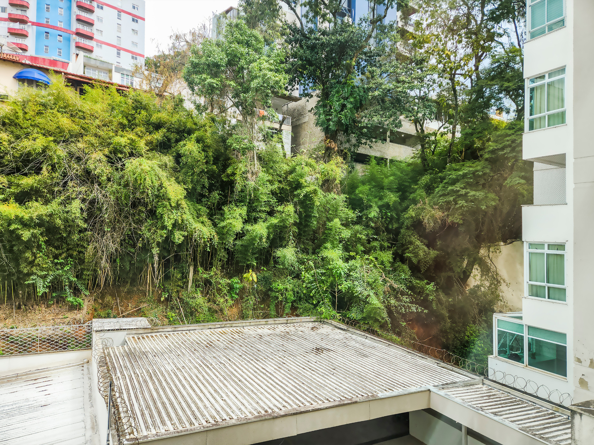 Bom Pastor: 1 por andar, localização de destaque, 4 quartos., foto 18