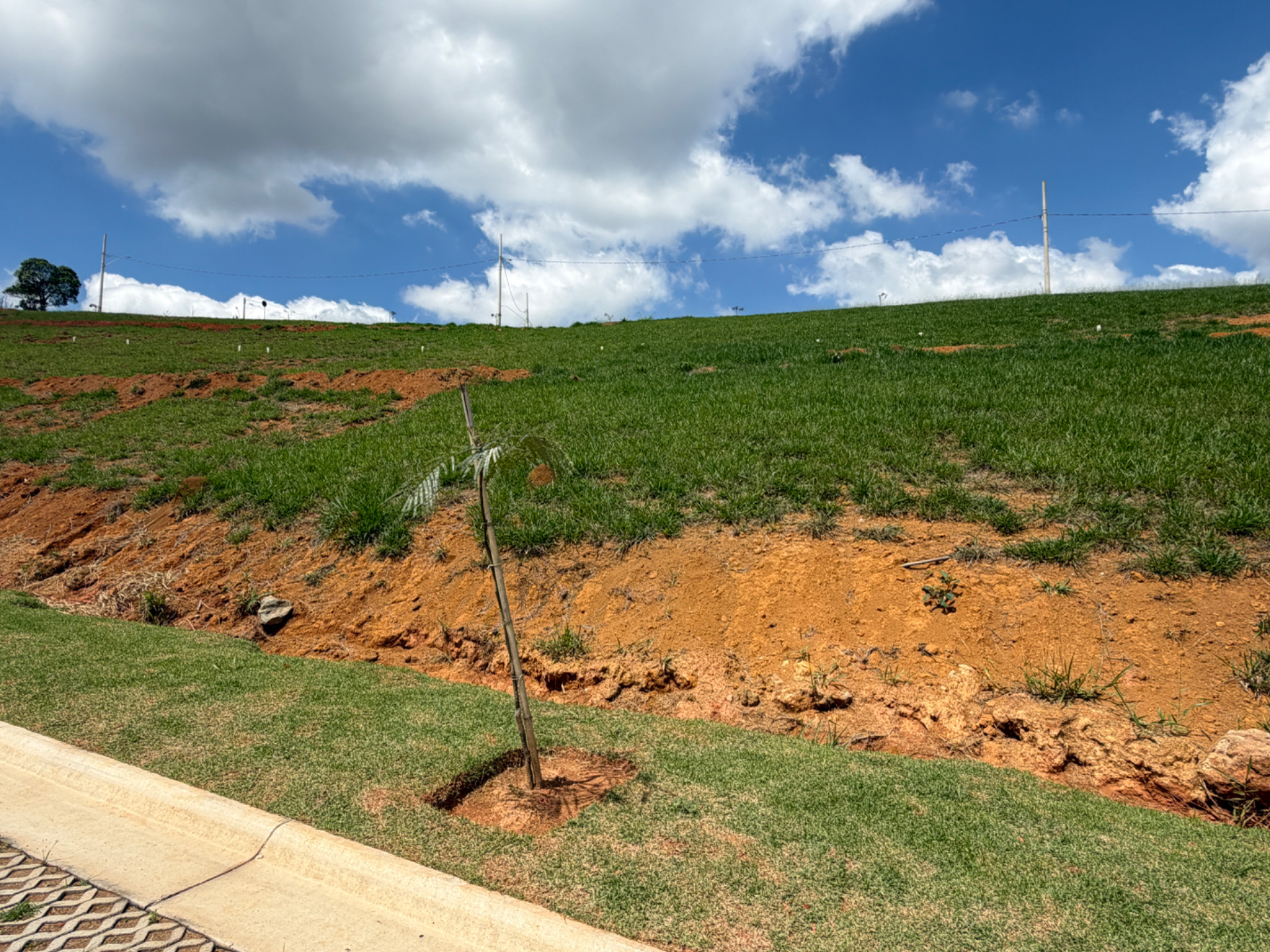 Terreno em aclive, São Pedro., foto 5