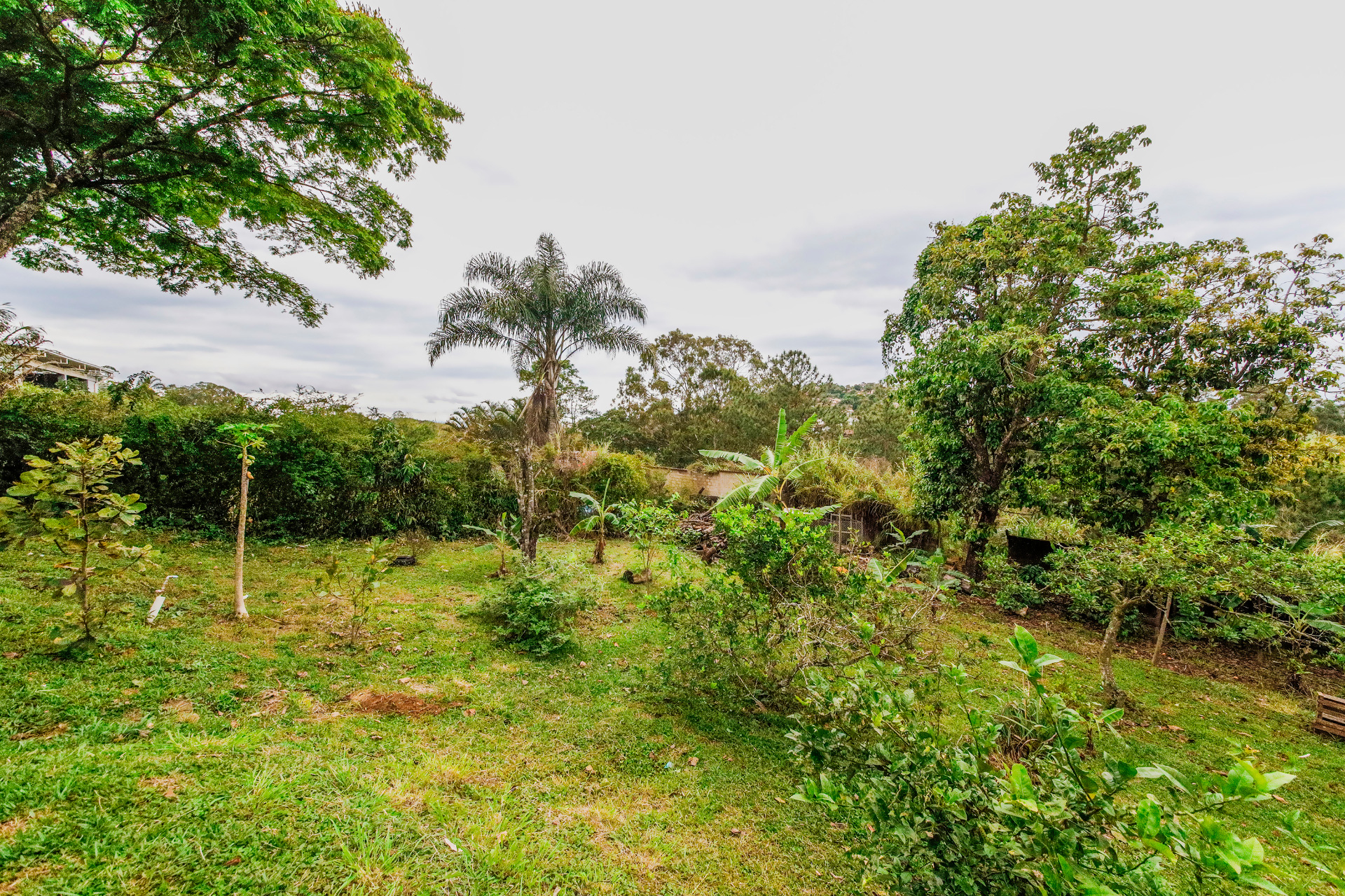 Casa com amplo terreno e muita área verde para venda, foto 22