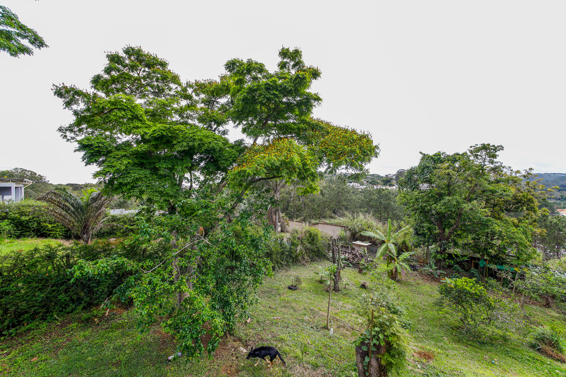 Casa com amplo terreno e muita área verde para venda, foto 12