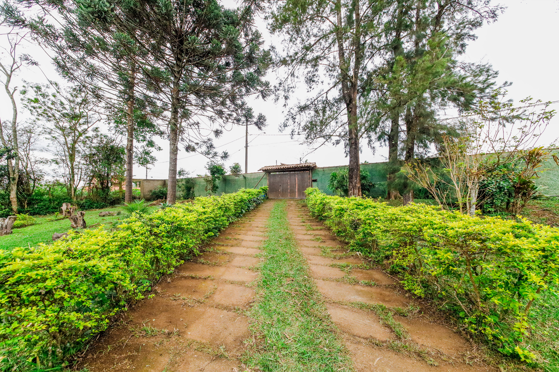 Casa com amplo terreno e muita área verde para venda, foto 26