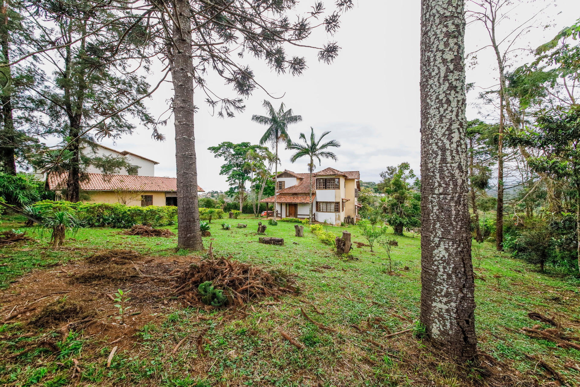 Casa com amplo terreno e muita área verde para venda, foto 25