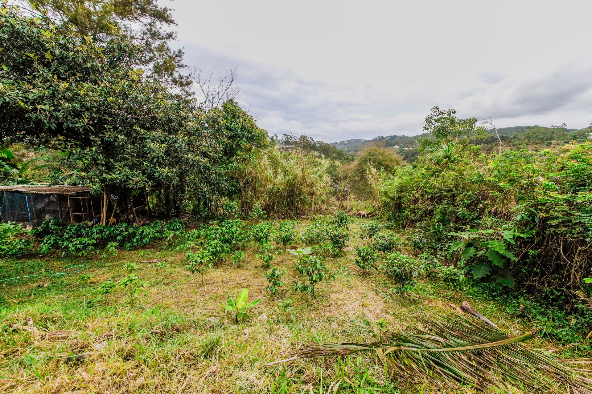Casa com amplo terreno e muita área verde para venda, foto 24