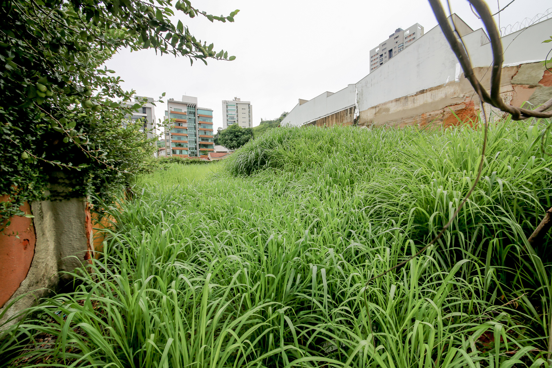 Terreno 510 m² no Bom Pastor. Bom para construir., foto 3