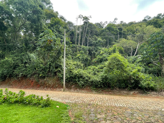 Terreno 1152 m², natureza ao redor. Novo Horizonte.