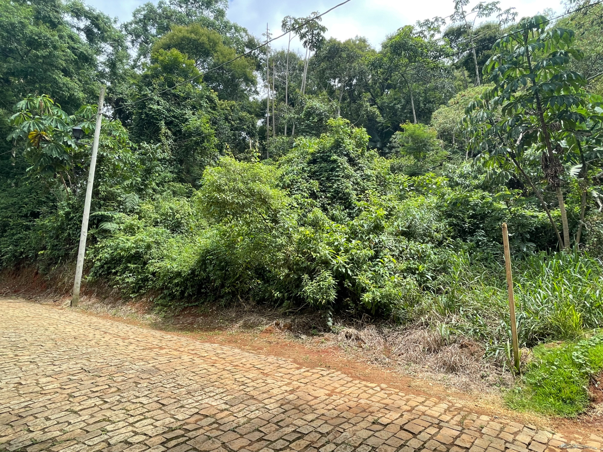 Terreno 1152m² no Novo Horizonte. Muita natureza., foto 2