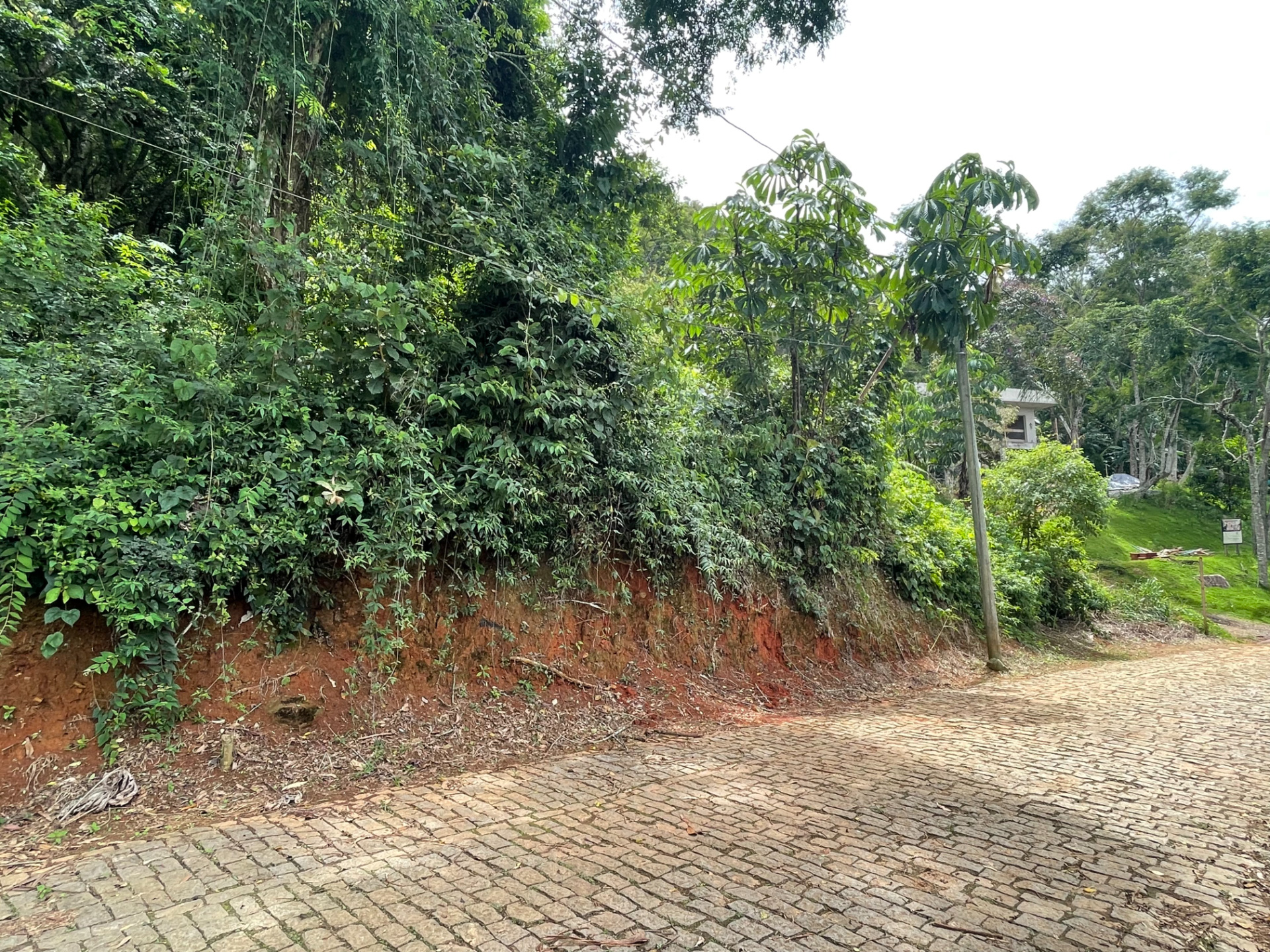 Terreno 1152m² no Novo Horizonte. Muita natureza., foto 3